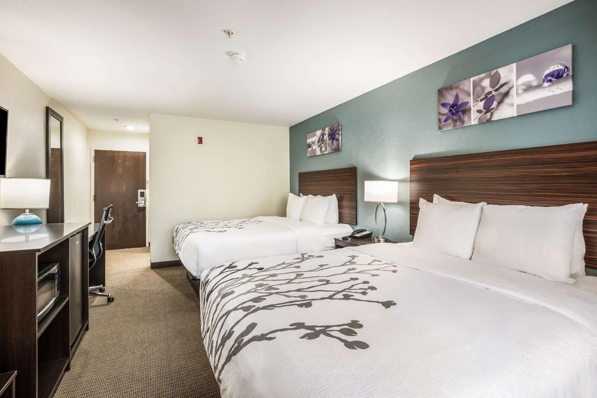 Sleep Inn & Suites Tallahassee-Capitol gallery photo in Tallahassee, FL — image 34