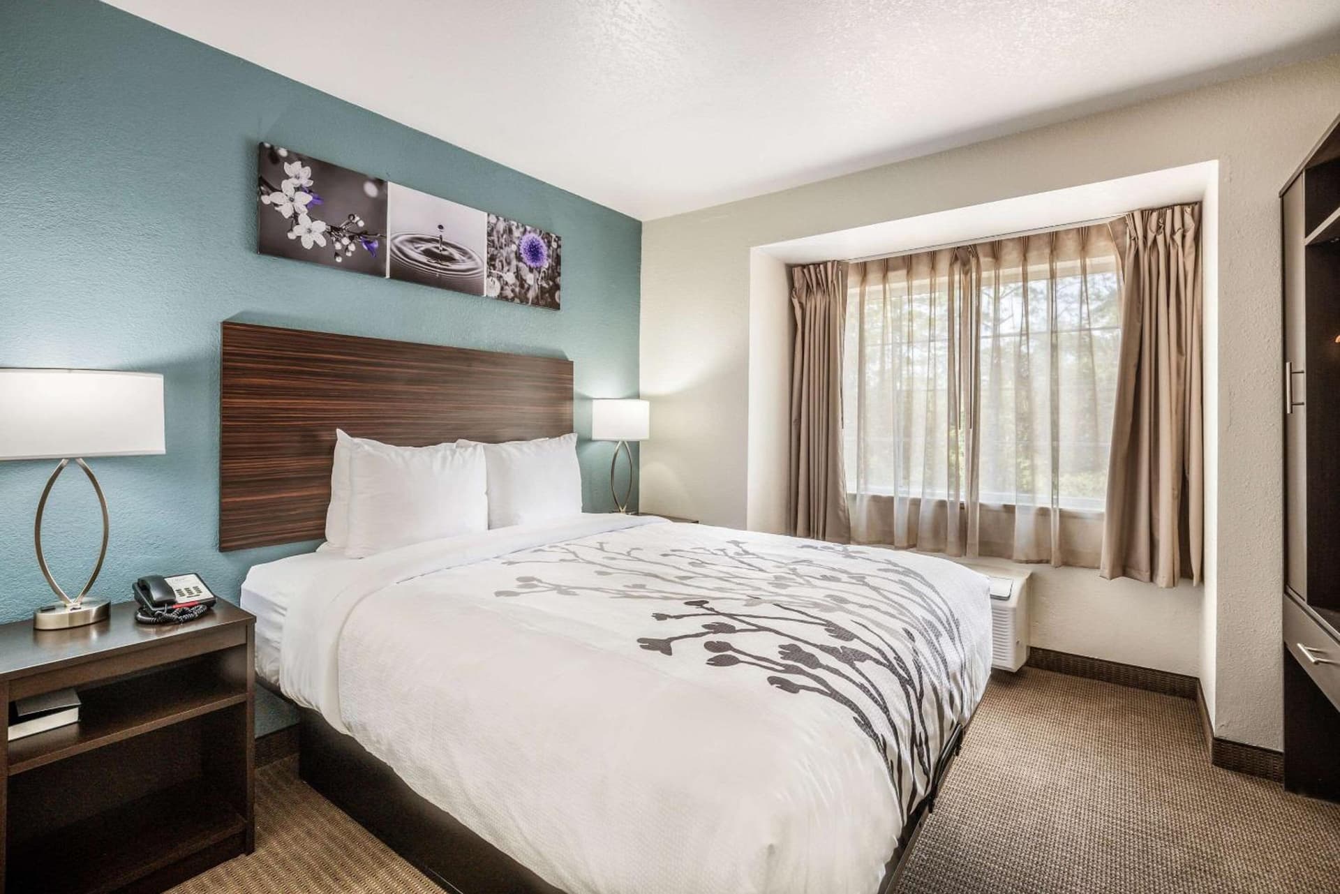Sleep Inn & Suites Tallahassee-Capitol gallery photo in Tallahassee, FL — image 6