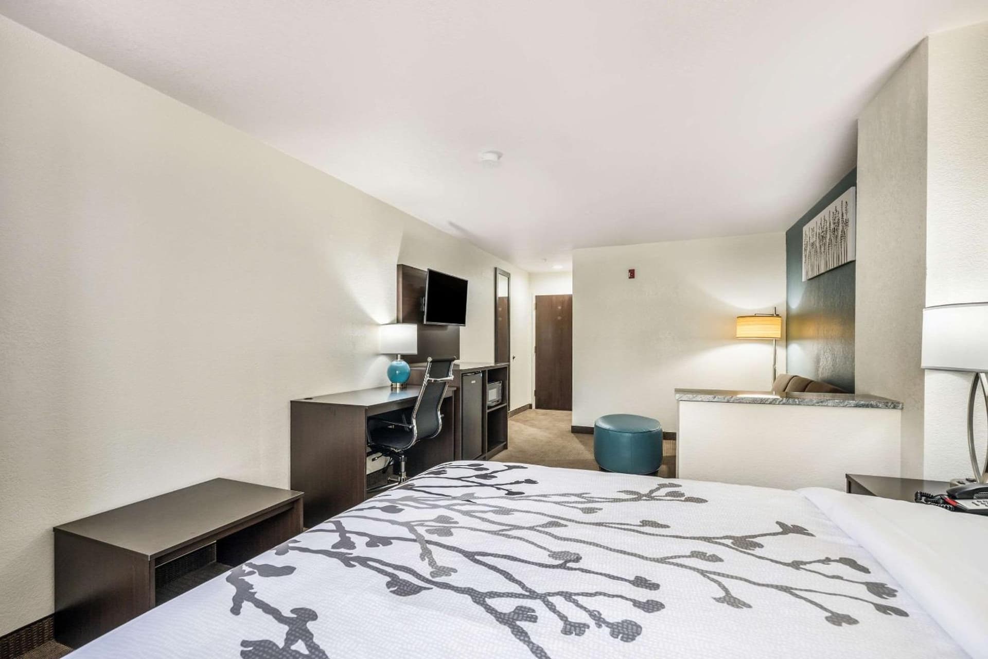Sleep Inn & Suites Tallahassee-Capitol gallery photo in Tallahassee, FL — image 18