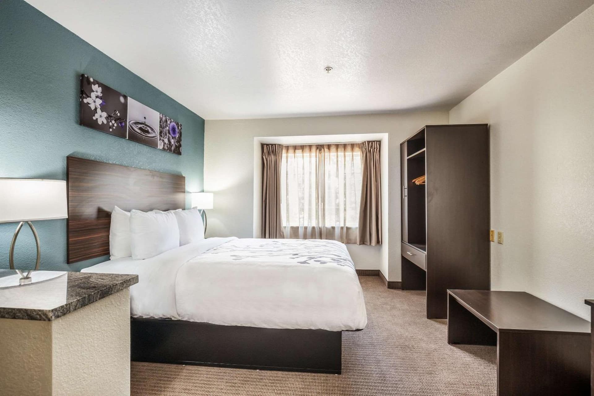 Sleep Inn & Suites Tallahassee-Capitol gallery photo in Tallahassee, FL — image 59