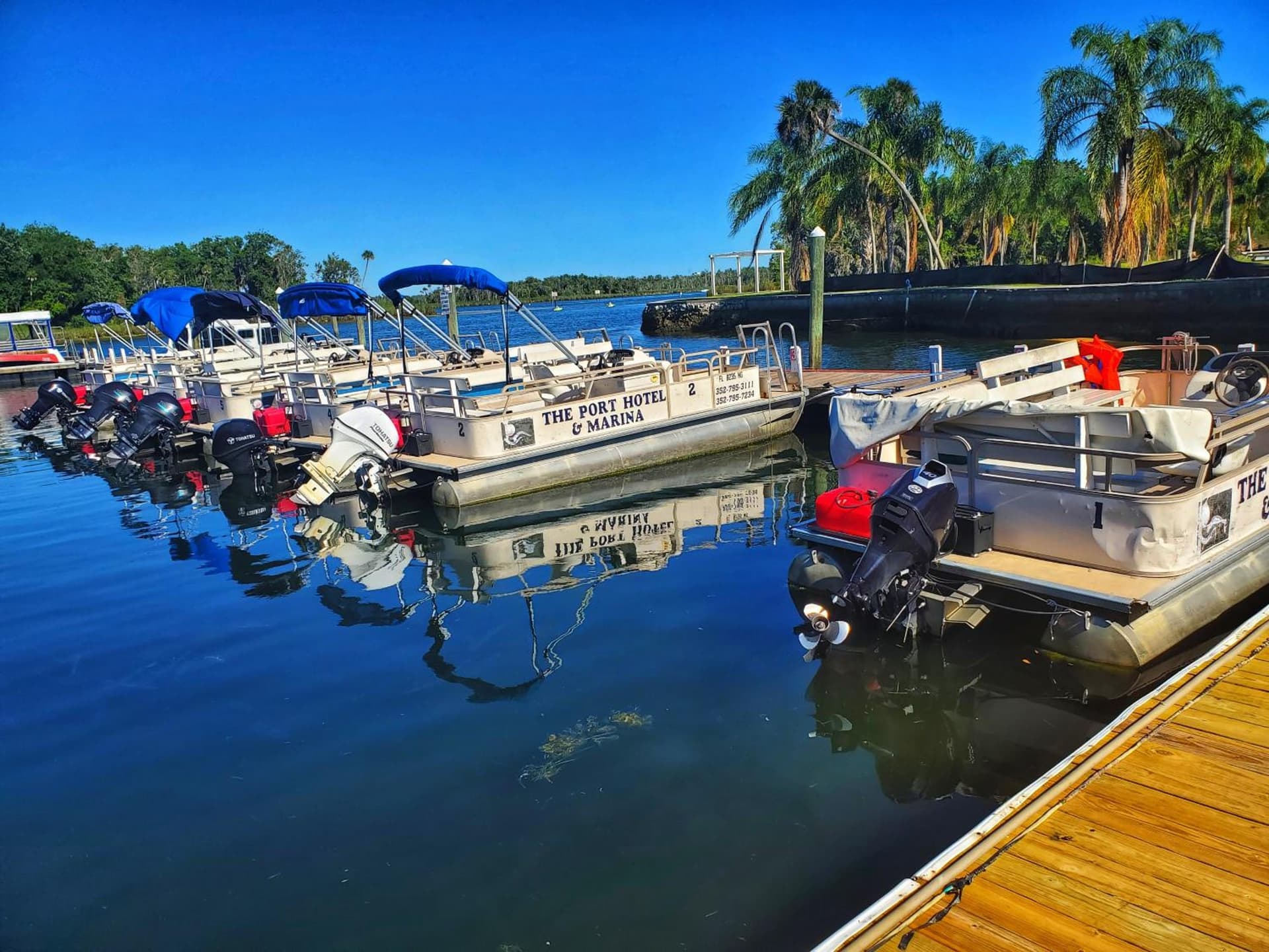 The Port Hotel and Marina gallery photo in Crystal River, FL — image 24