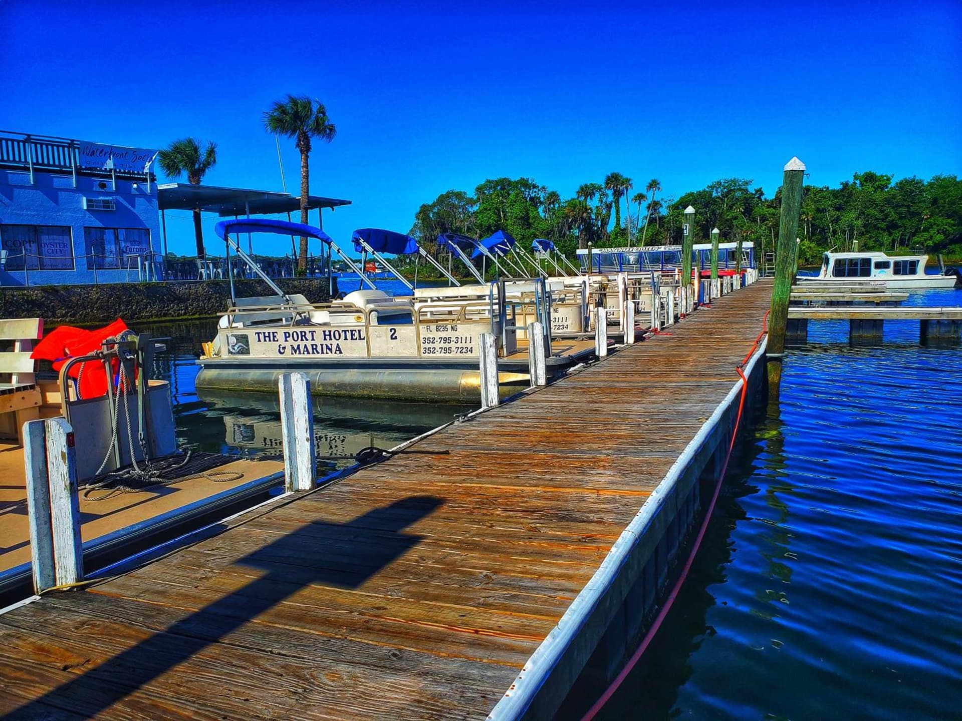 The Port Hotel and Marina gallery photo in Crystal River, FL — image 33