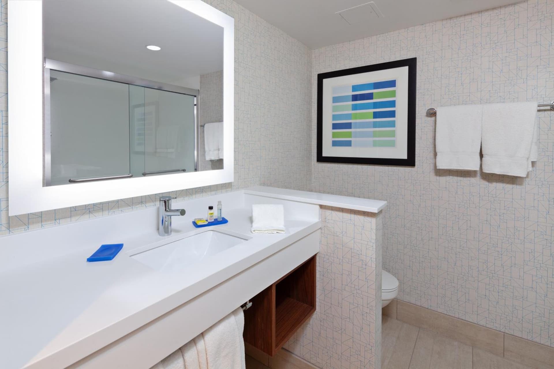 Holiday Inn Express Hotel & Suites Ventura Harbor by IHG gallery photo in Ventura, CA — image 44