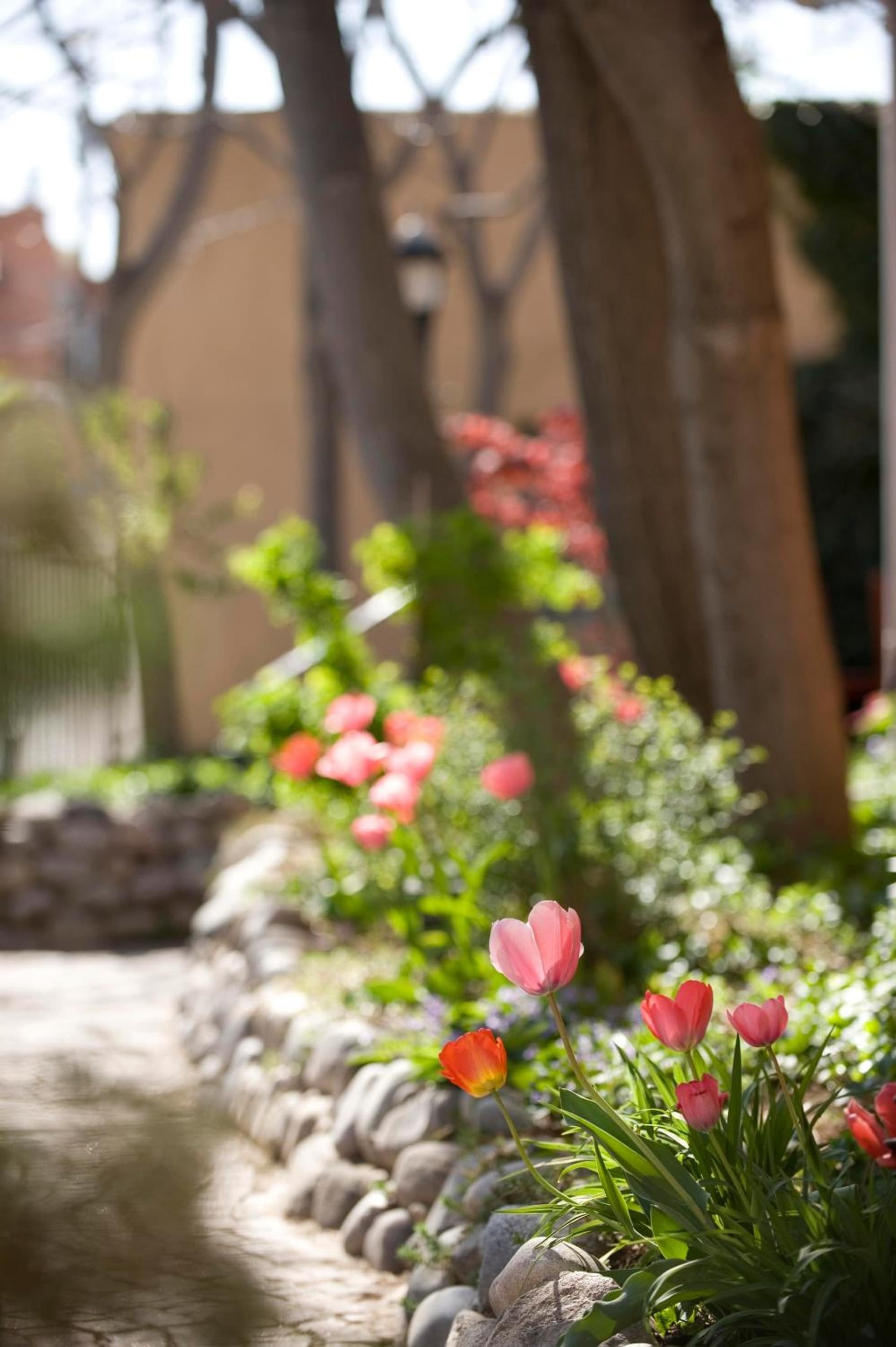 Las Palomas interior in Santa Fe, NM — gallery photo 2
