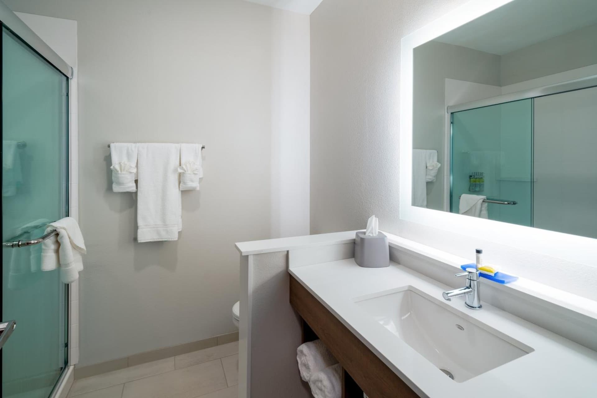 Holiday Inn Express & Suites - St Peters by IHG gallery photo in Saint Peters, MO — image 36