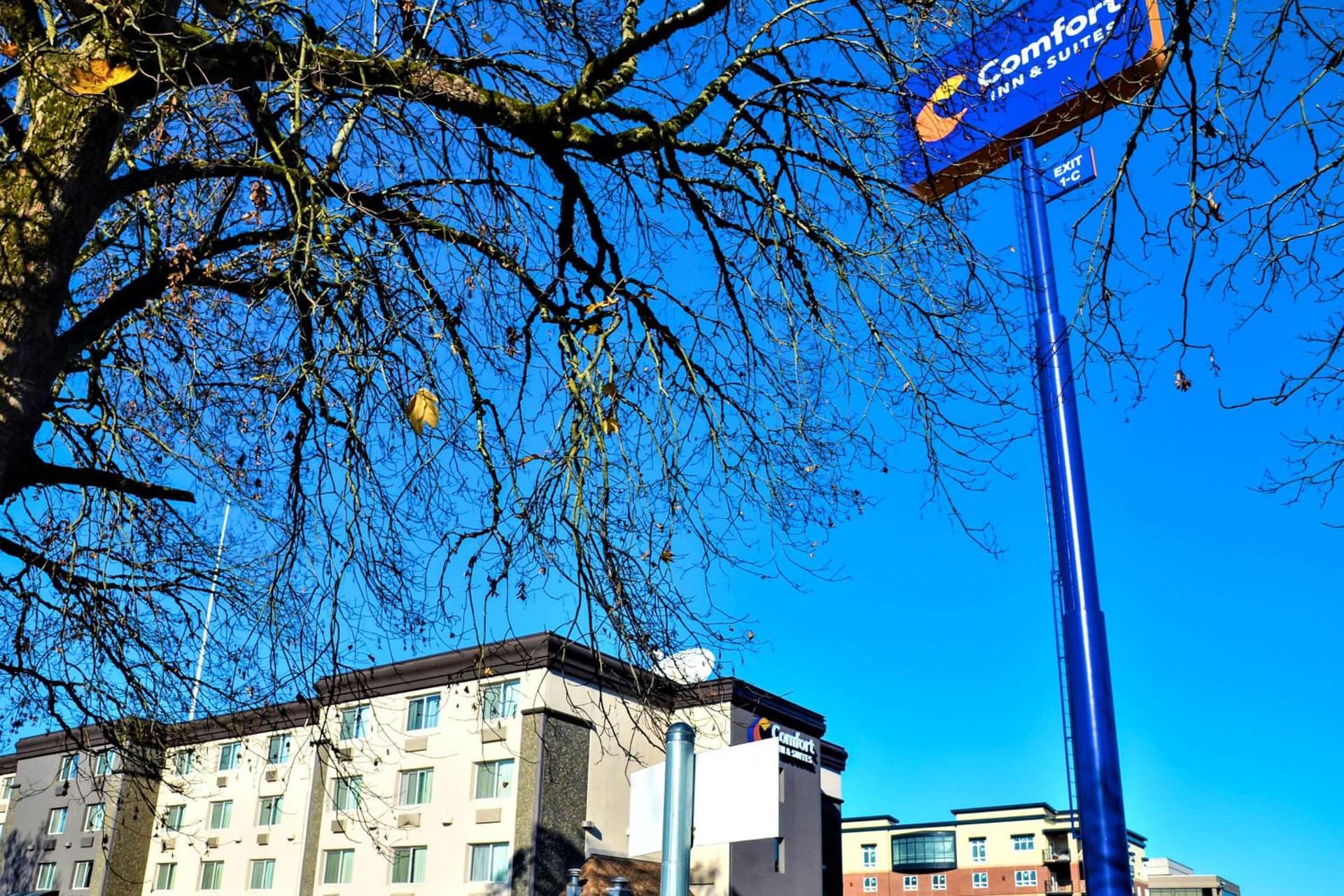 Comfort Inn & Suites Vancouver Downtown City Center featured exterior or lobby in Vancouver, WA — similar hotel
