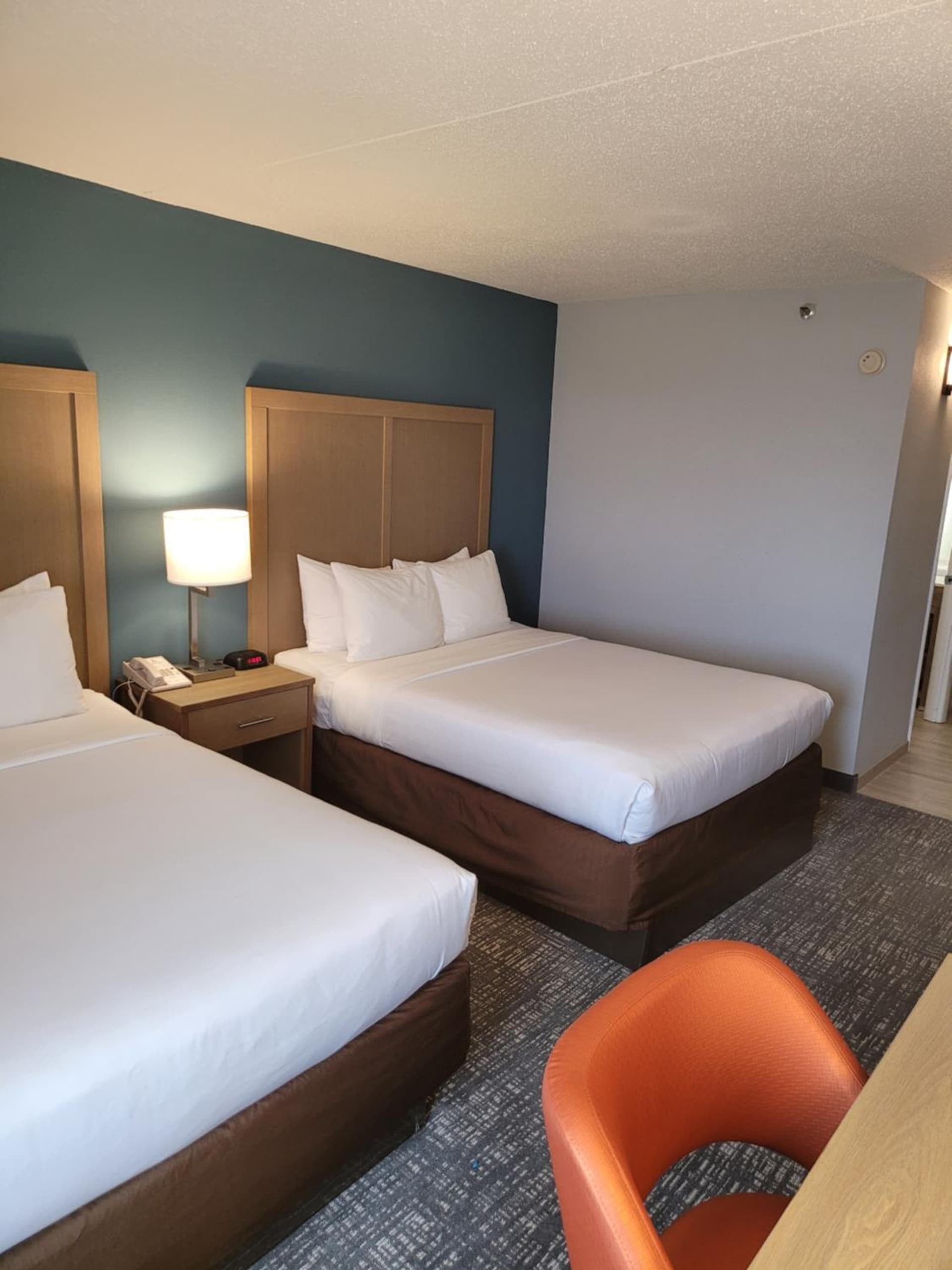 Comfort Inn & Suites Alexandria West gallery photo in Alexandria, VA — image 49