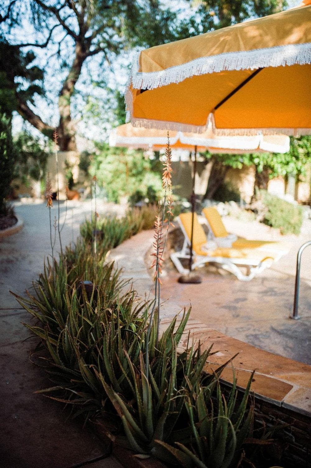 The Good House- Hot Spring Hideaway featured exterior or lobby in Desert Hot Springs, CA — similar hotel