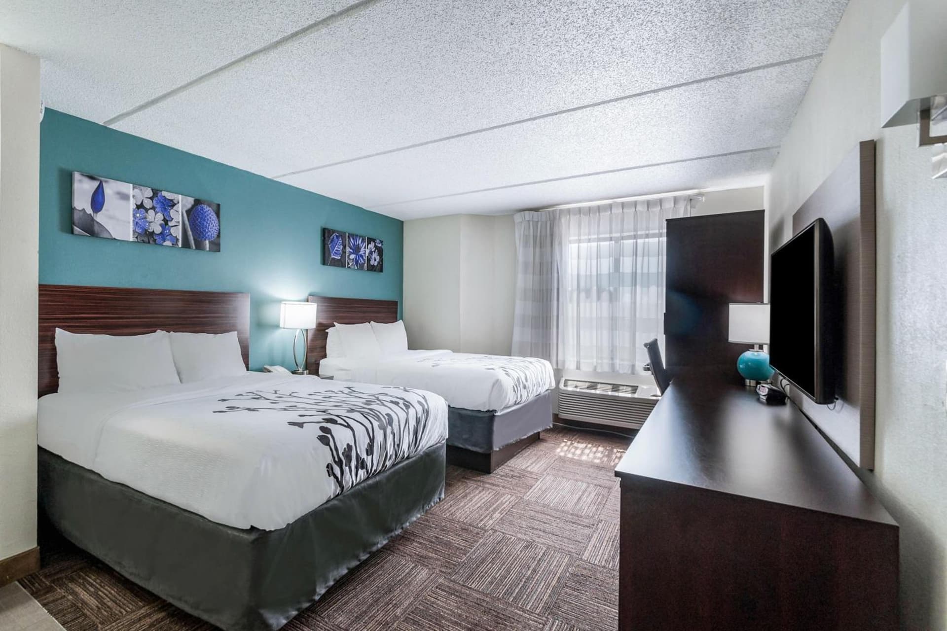 Sleep Inn & Suites Rehoboth Beach gallery photo in Rehoboth Beach, DE — image 15