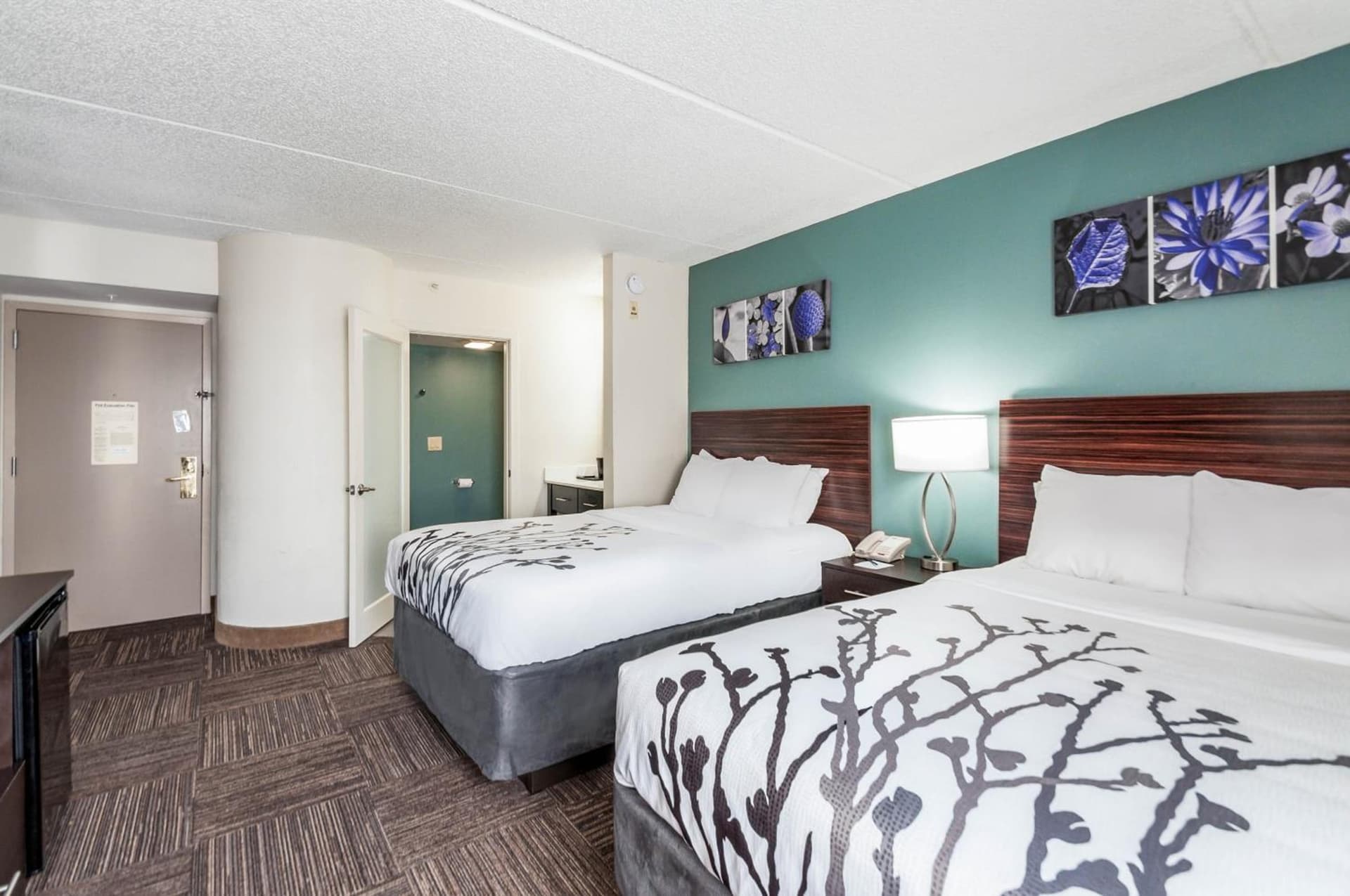 Sleep Inn & Suites Rehoboth Beach gallery photo in Rehoboth Beach, DE — image 32