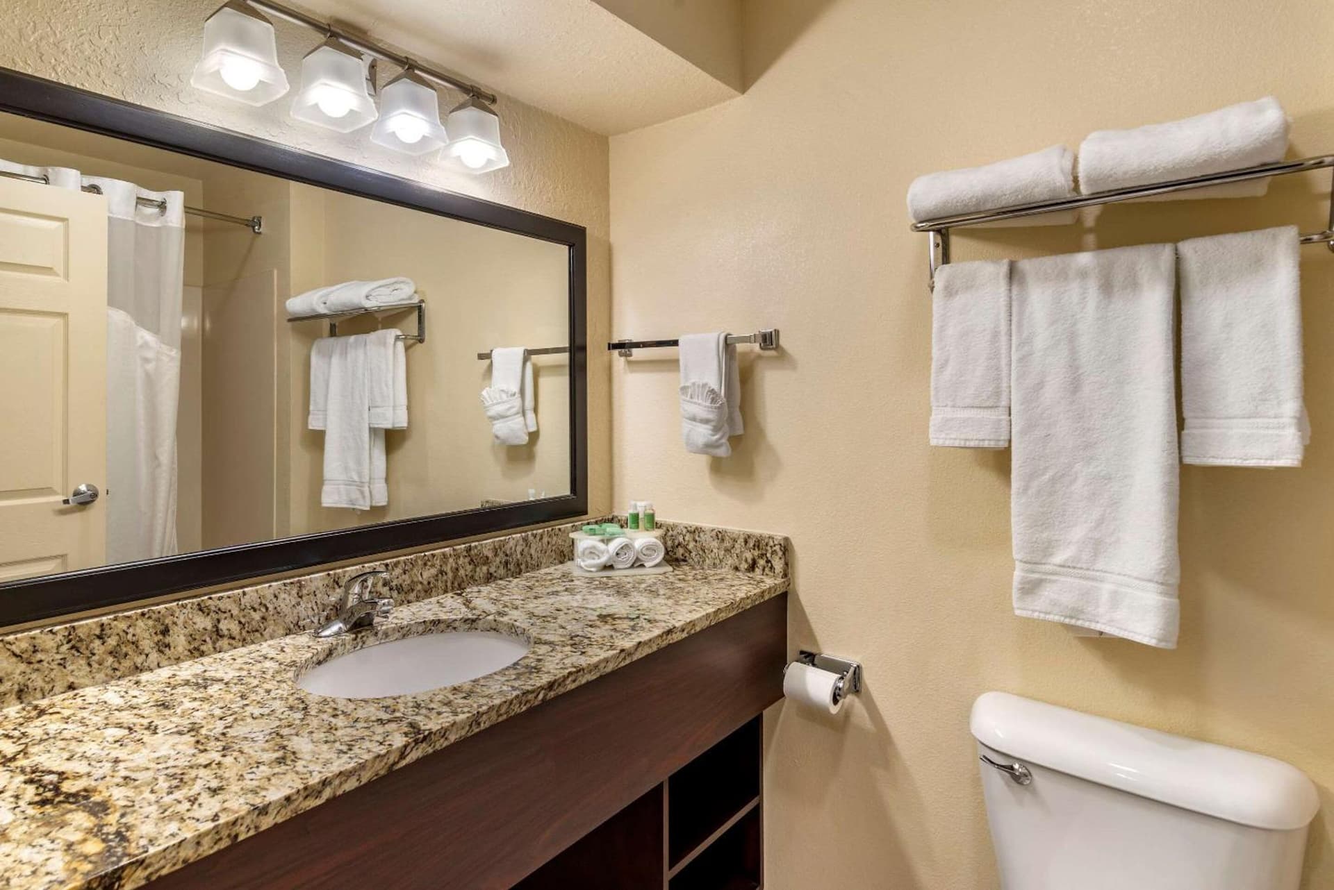 Comfort Inn & Suites Dahlonega University Area gallery photo in Dahlonega, GA — image 27