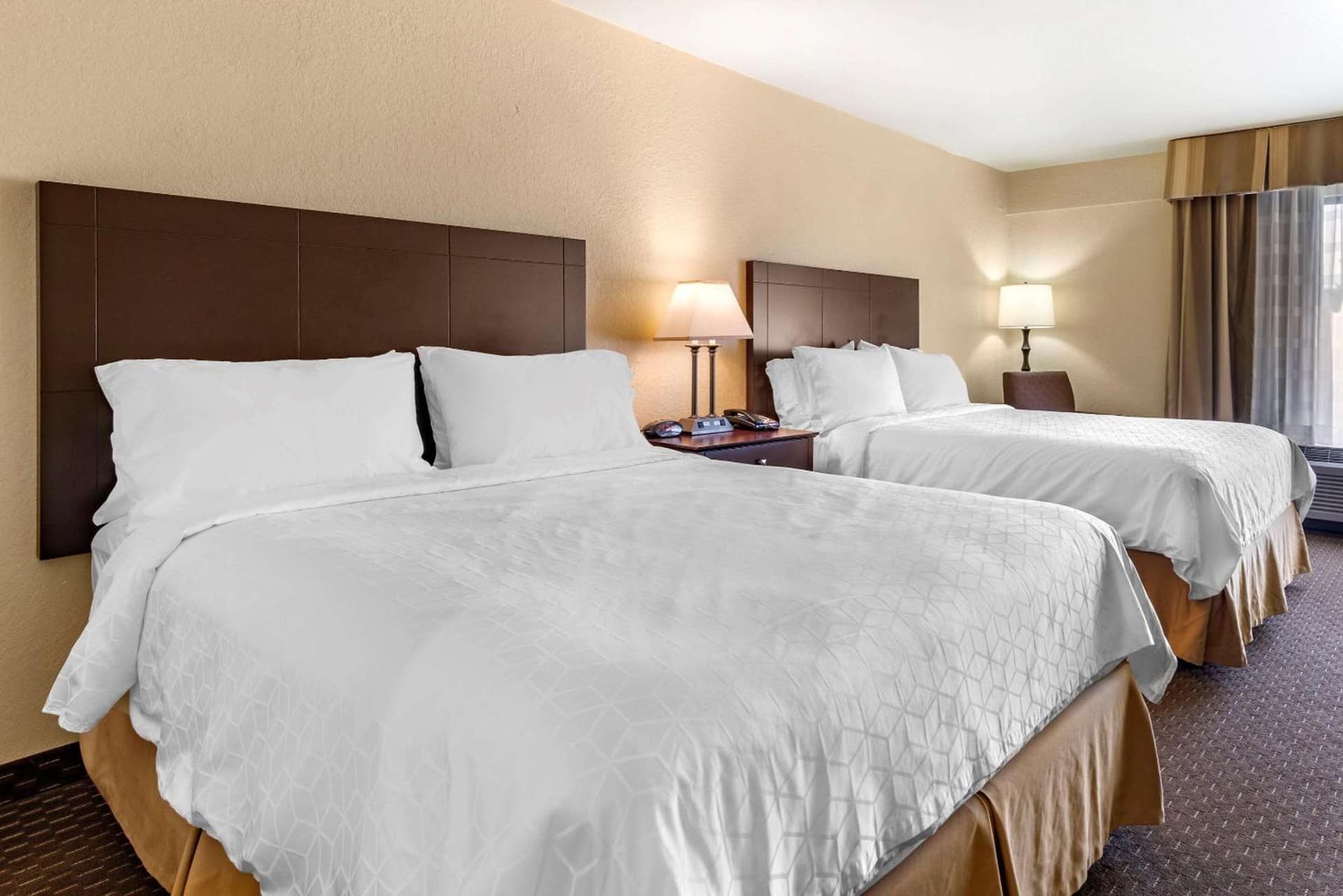 Comfort Inn & Suites Dahlonega University Area gallery photo in Dahlonega, GA — image 5