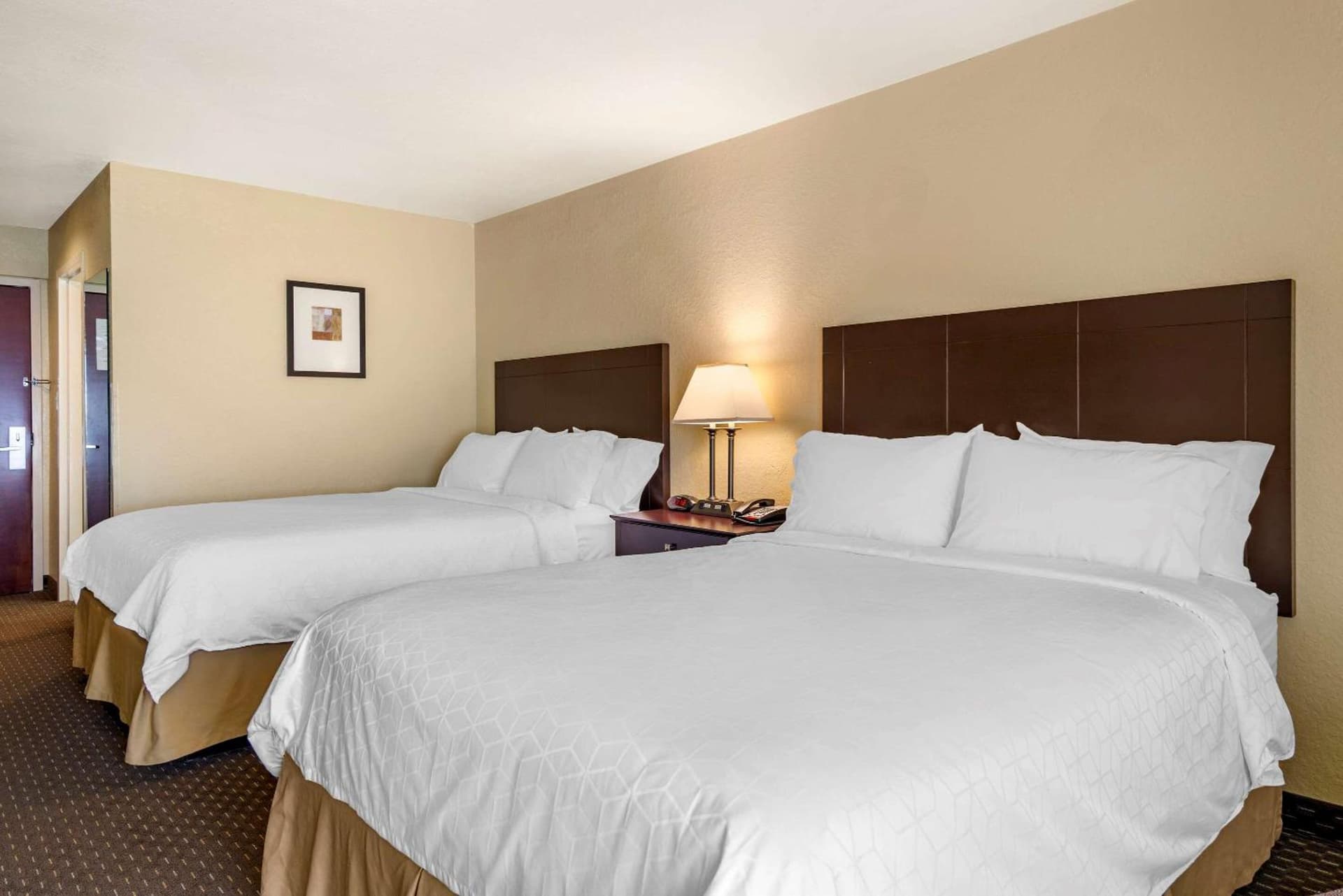 Comfort Inn & Suites Dahlonega University Area gallery photo in Dahlonega, GA — image 15