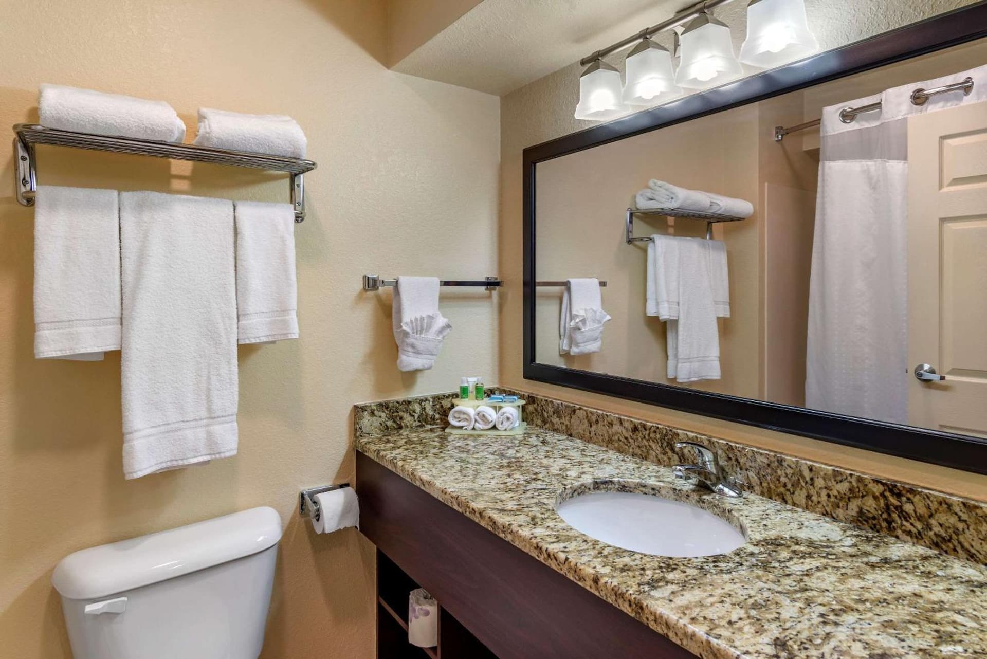 Comfort Inn & Suites Dahlonega University Area gallery photo in Dahlonega, GA — image 24
