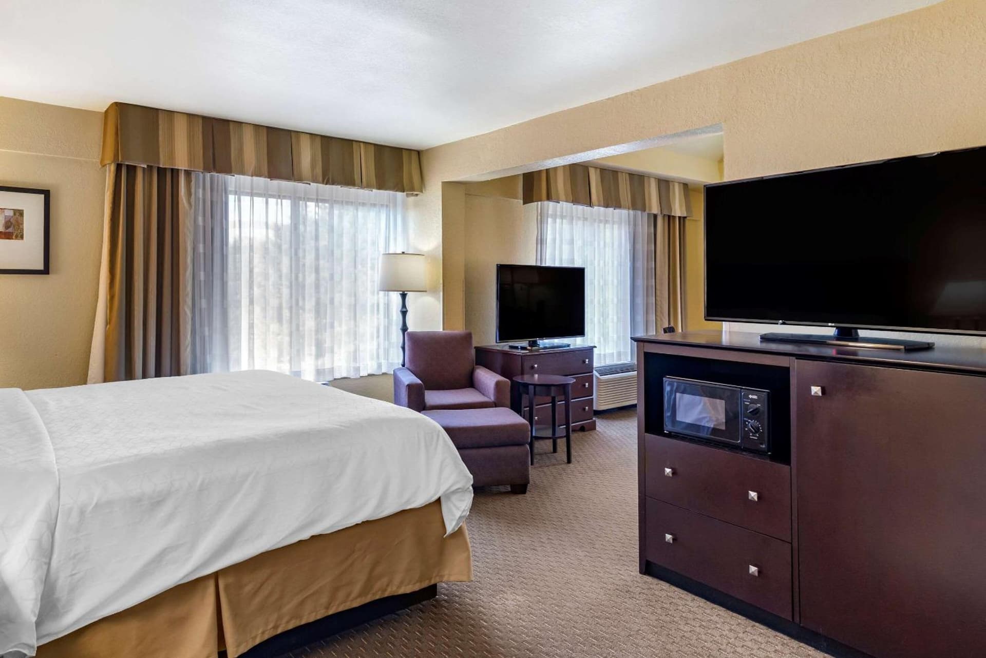 Comfort Inn & Suites Dahlonega University Area gallery photo in Dahlonega, GA — image 25