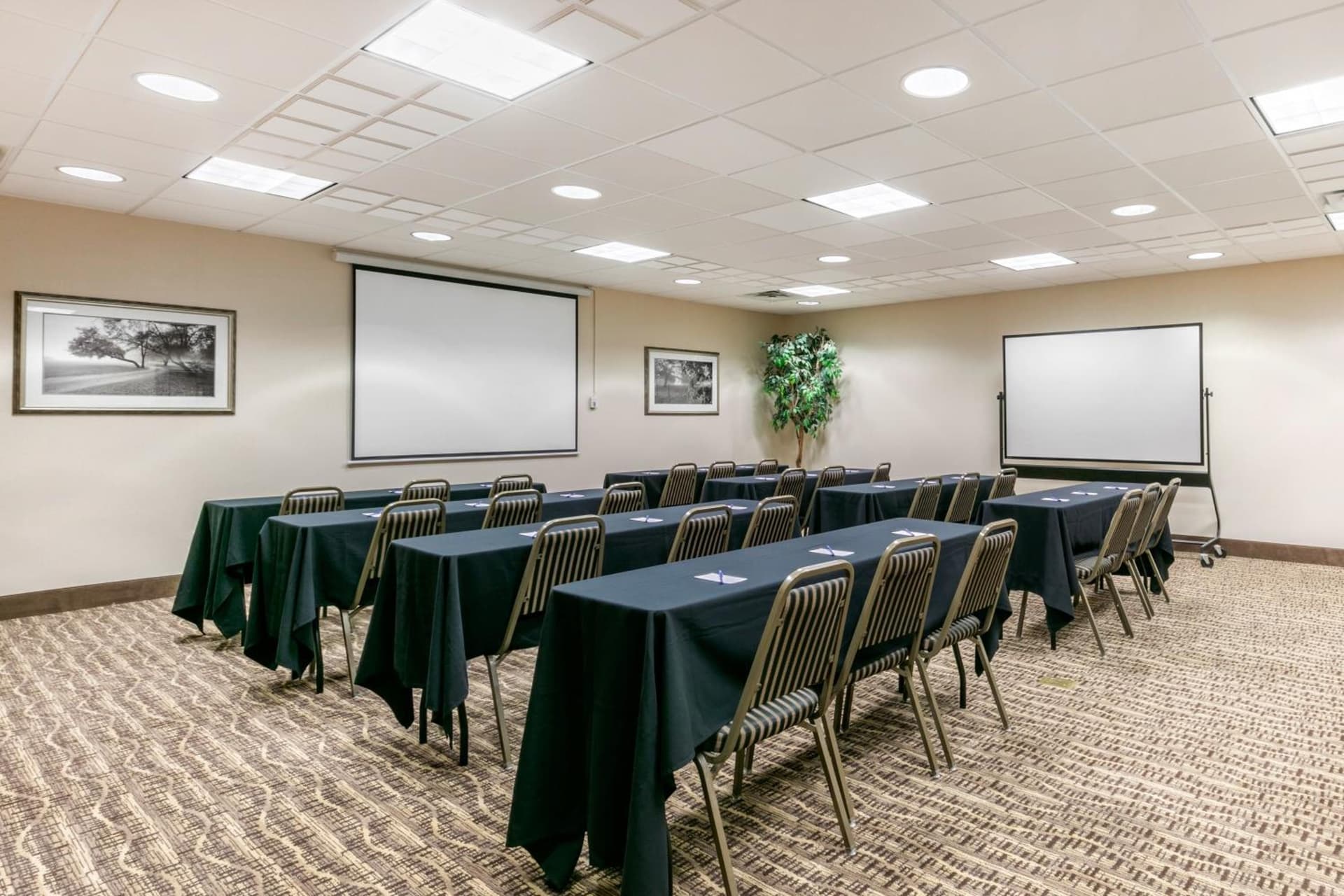 Comfort Suites Hopkinsville near Fort Campbell gallery photo in Hopkinsville, KY — image 16