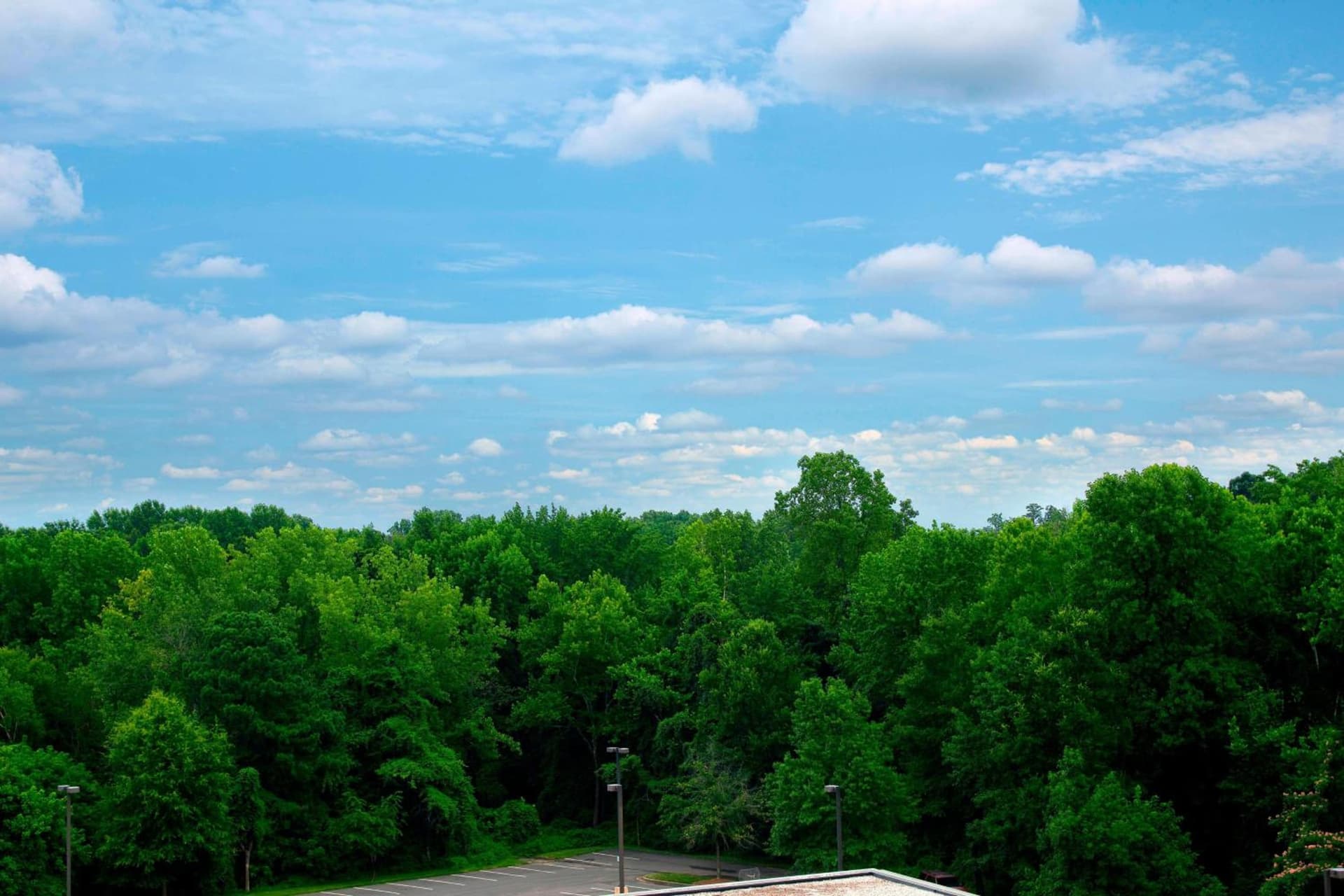 Sheraton Charlotte Airport gallery photo in Charlotte, NC — image 37