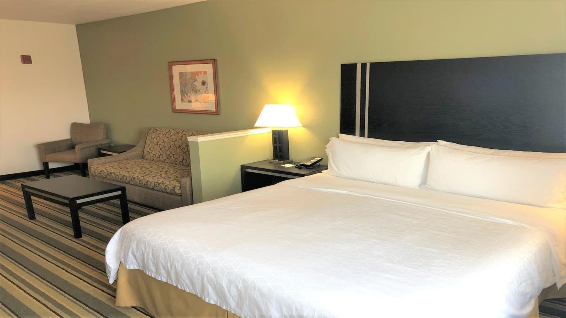 Holiday Inn Express Berkeley by IHG gallery photo in Berkeley, CA — image 48