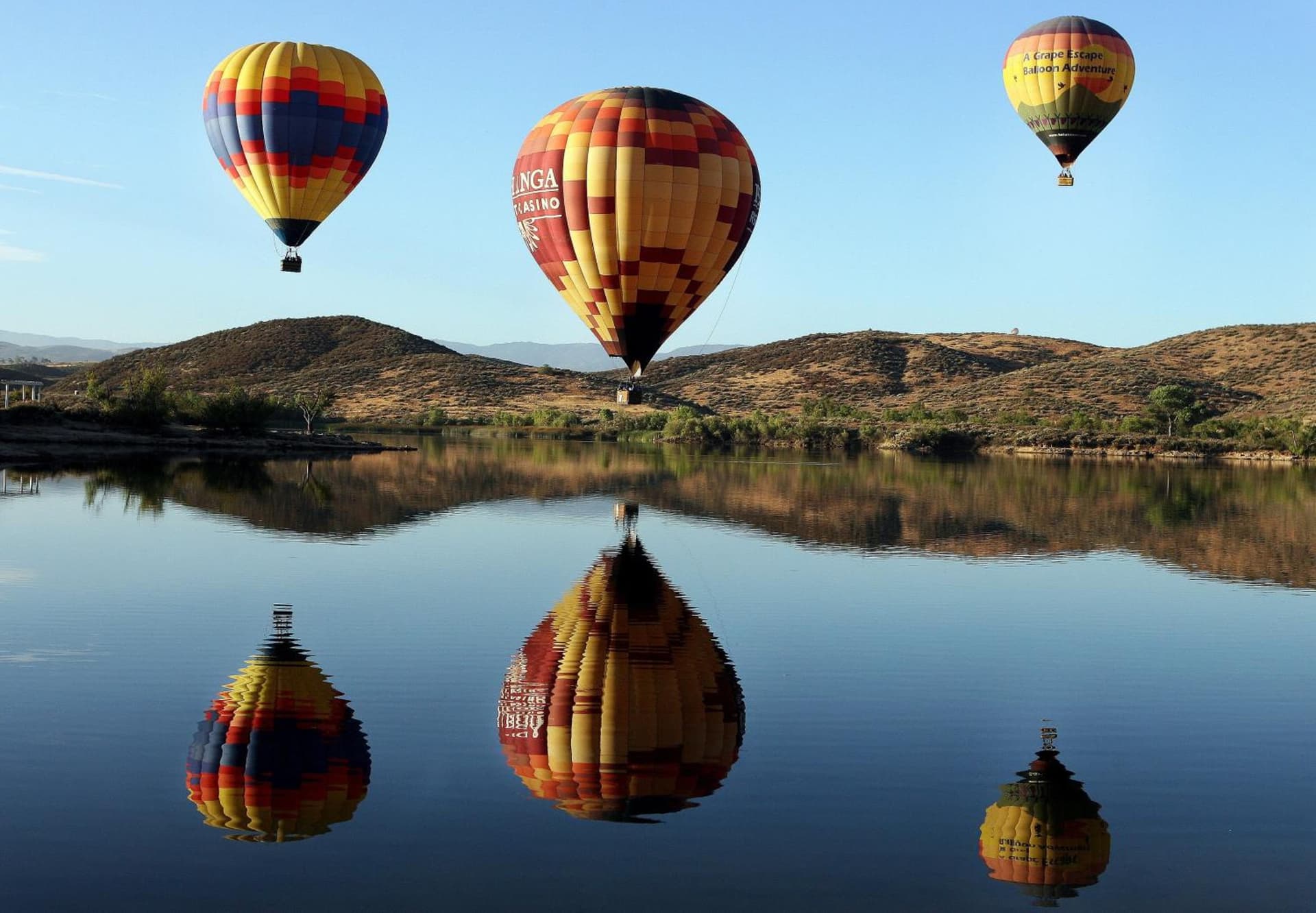 Balloons and Wine gallery photo in Murrieta, CA — image 55