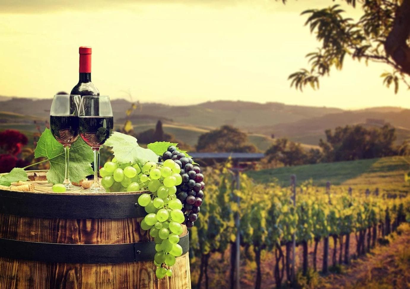 Balloons and Wine gallery photo in Murrieta, CA — image 38