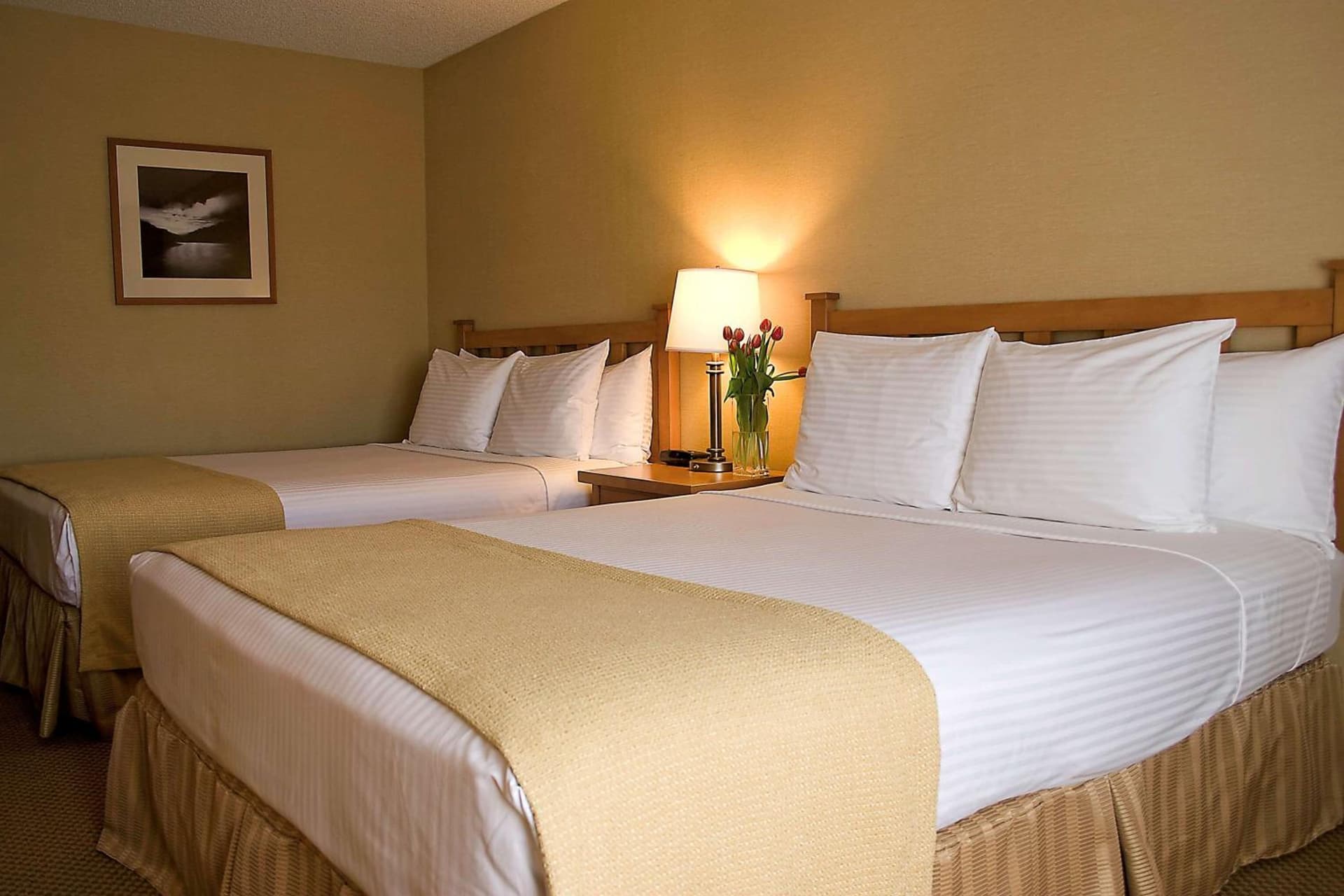 Best Western Seattle Airport Hotel gallery photo in SeaTac, WA — image 7