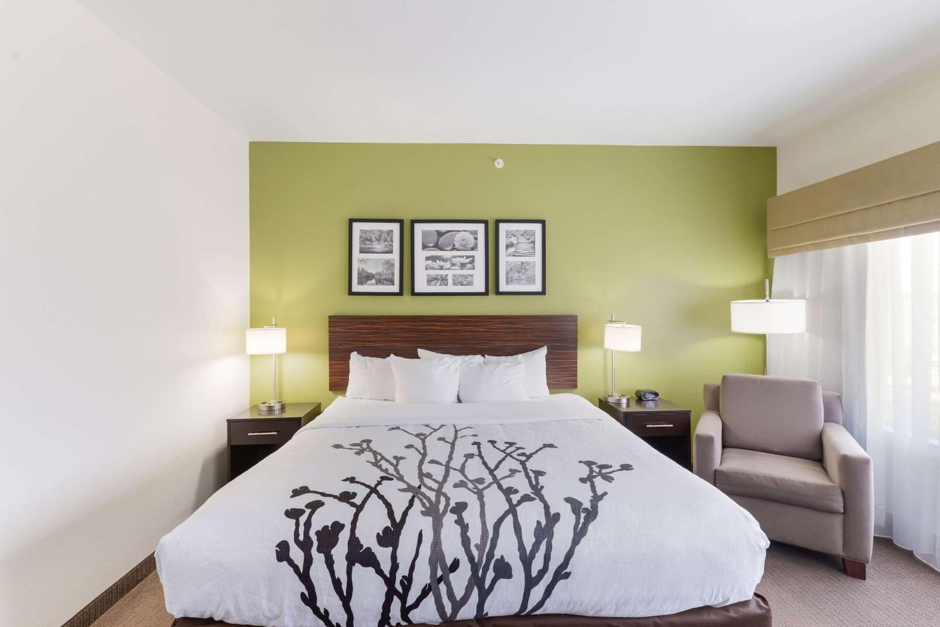 Sleep Inn & Suites Midland West gallery photo in Midland, TX — image 6