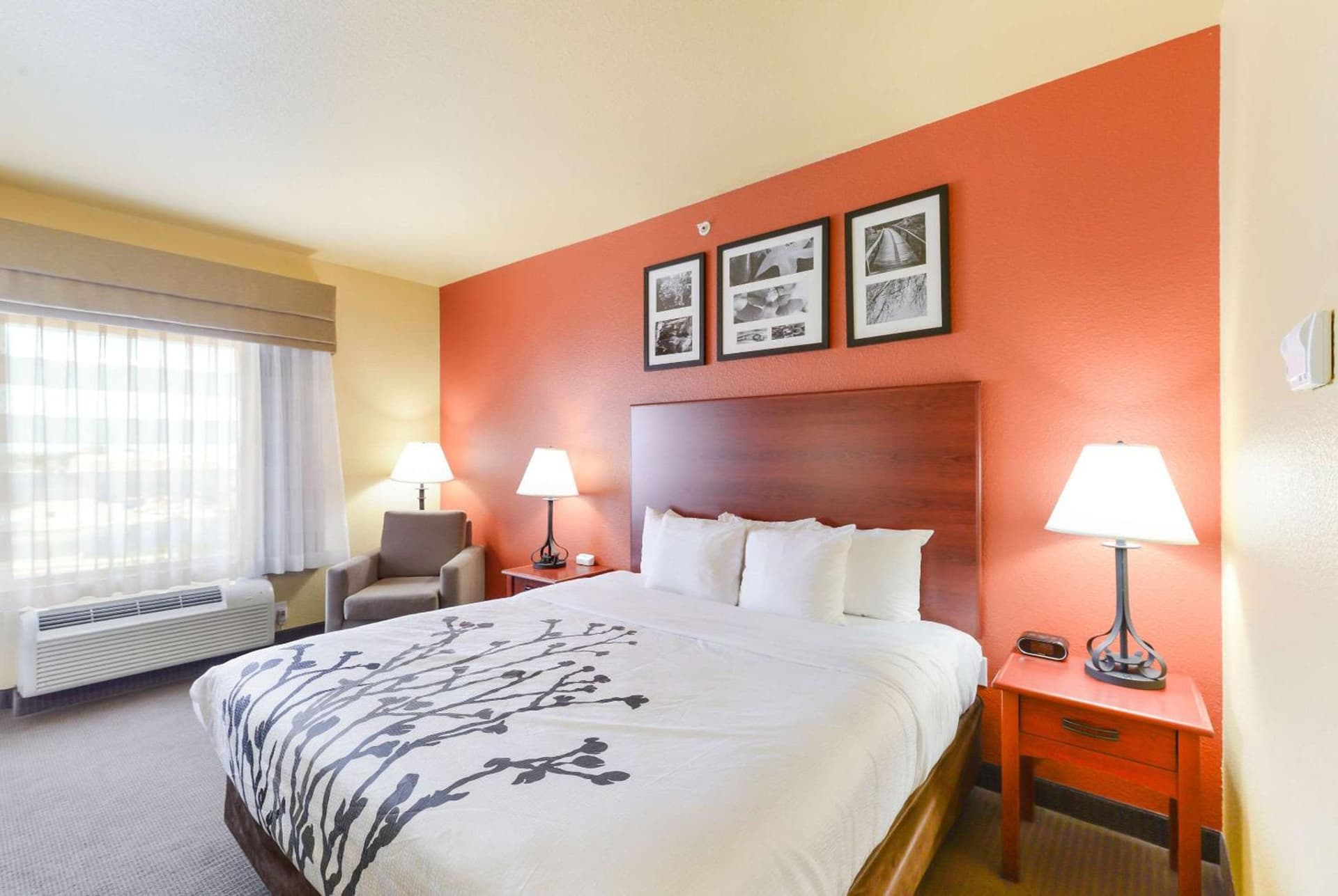 Sleep Inn & Suites Midland West gallery photo in Midland, TX — image 12
