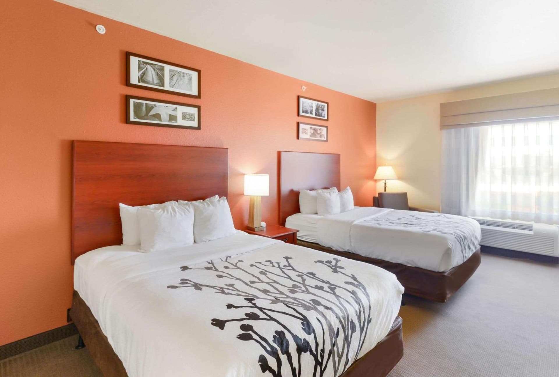 Sleep Inn & Suites Midland West gallery photo in Midland, TX — image 8