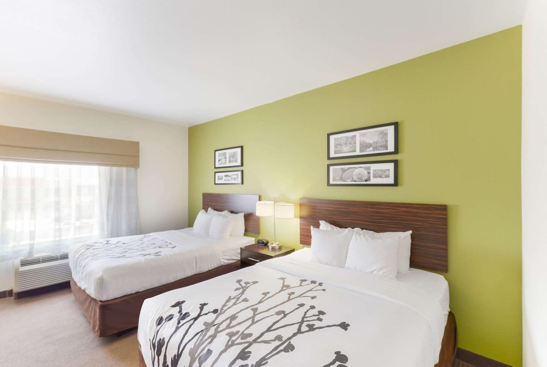 Sleep Inn & Suites Midland West gallery photo in Midland, TX — image 10