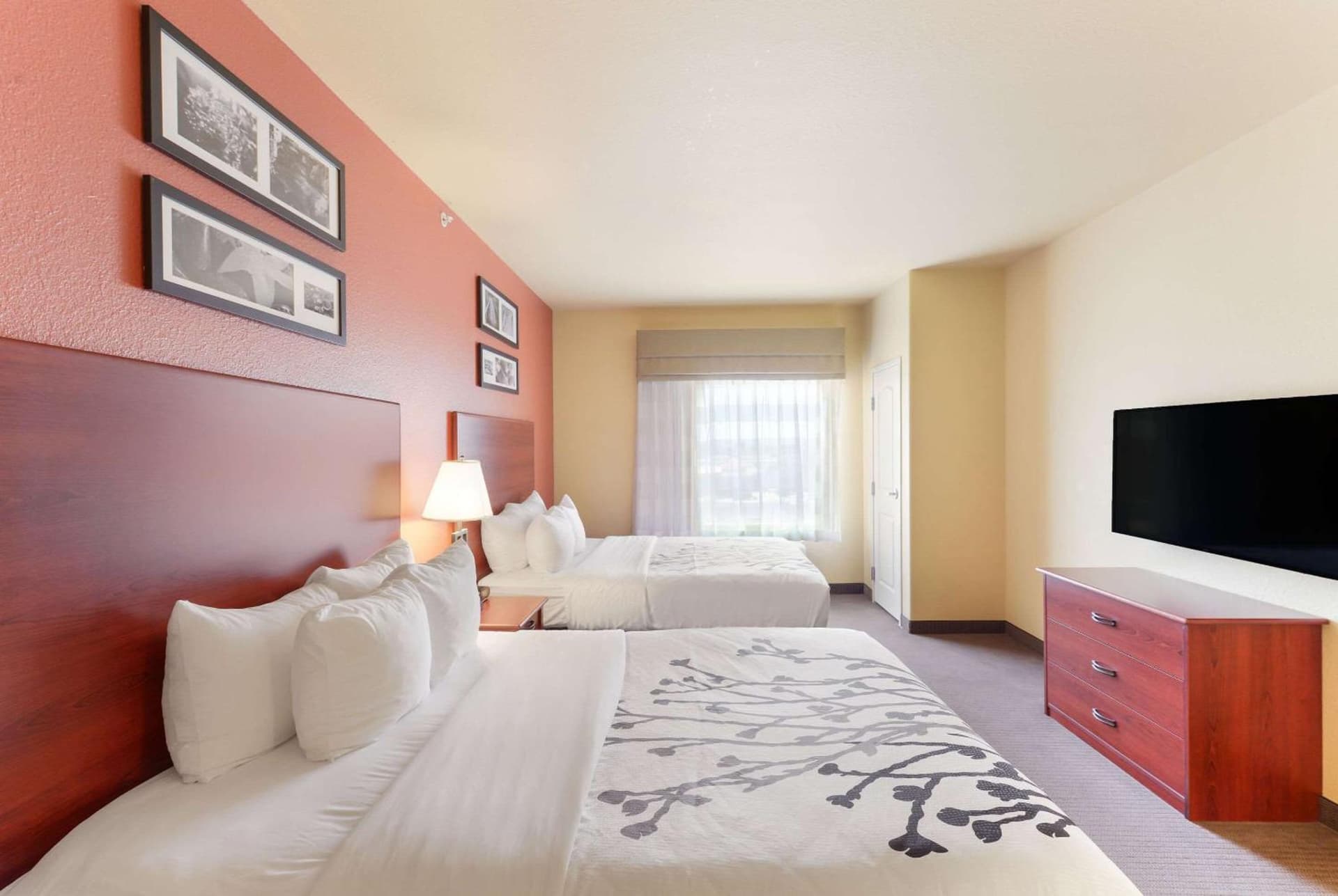 Sleep Inn & Suites Midland West gallery photo in Midland, TX — image 13