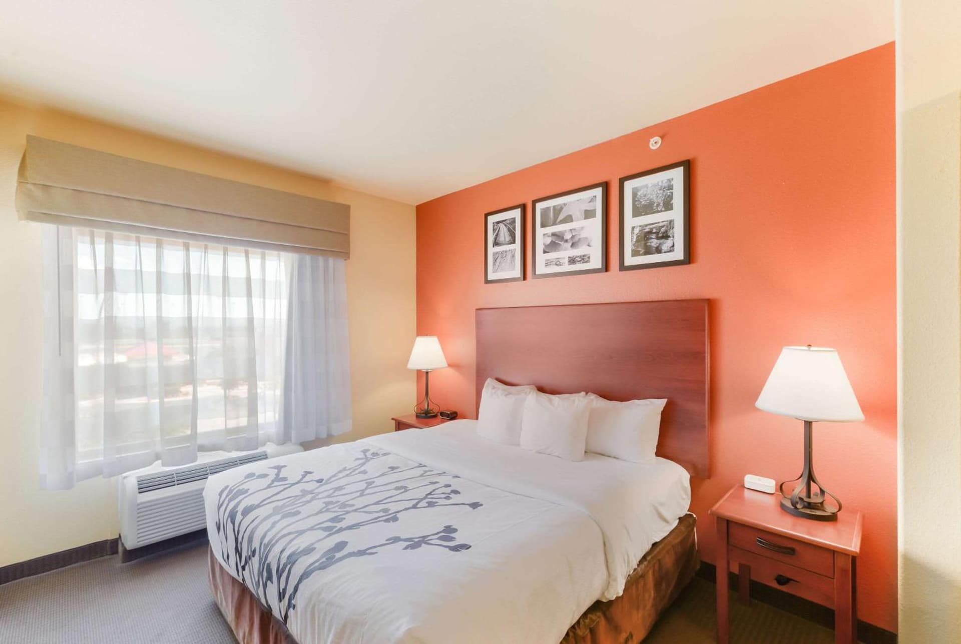 Sleep Inn & Suites Midland West gallery photo in Midland, TX — image 43