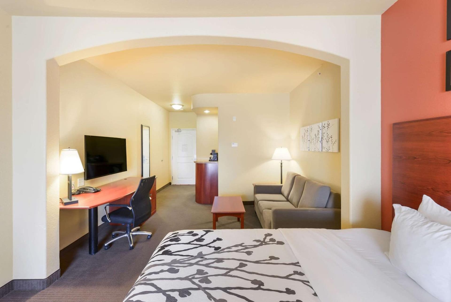 Sleep Inn & Suites Midland West gallery photo in Midland, TX — image 22