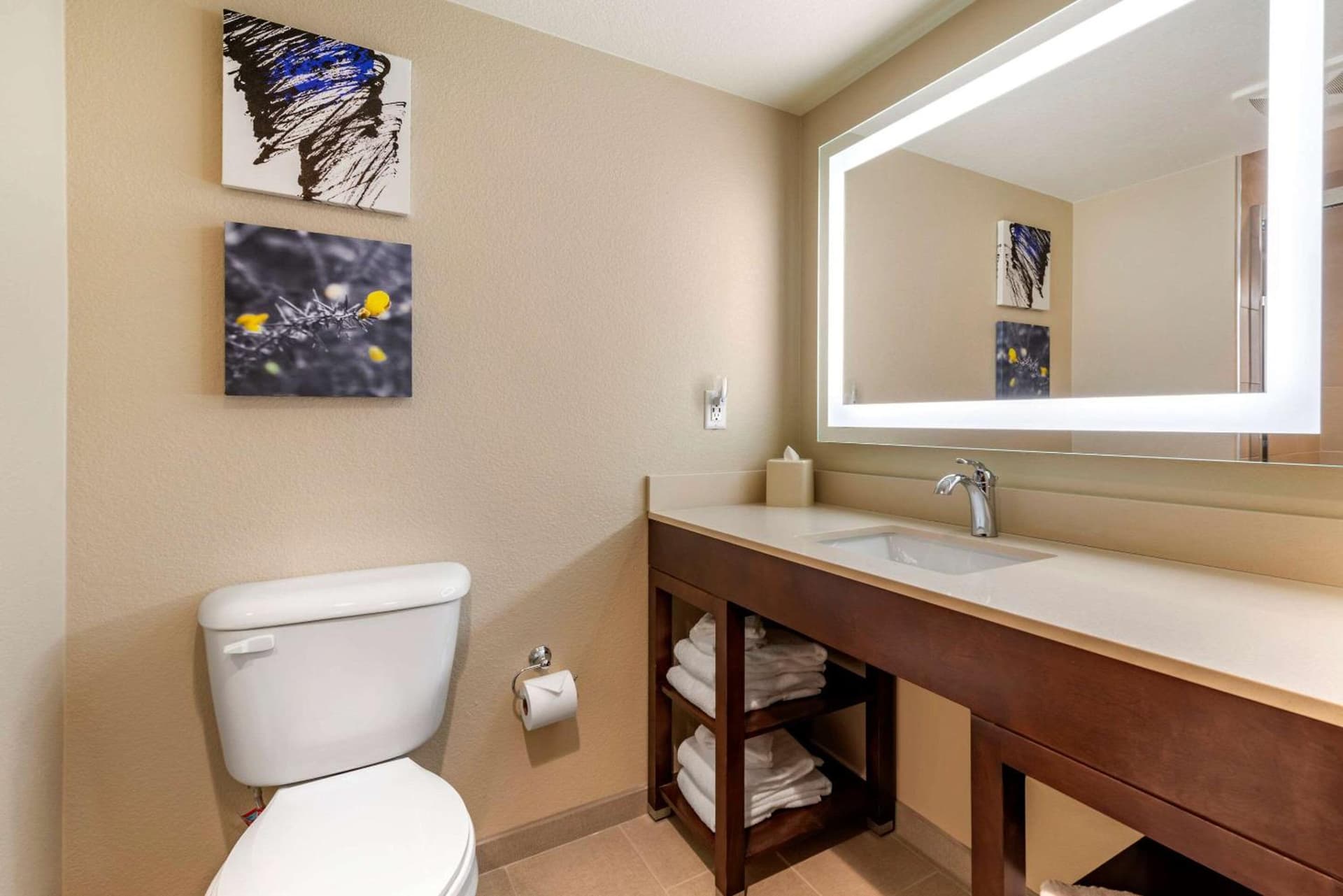 Comfort Suites Broomfield-Boulder-Interlocken gallery photo in Broomfield, CO — image 33