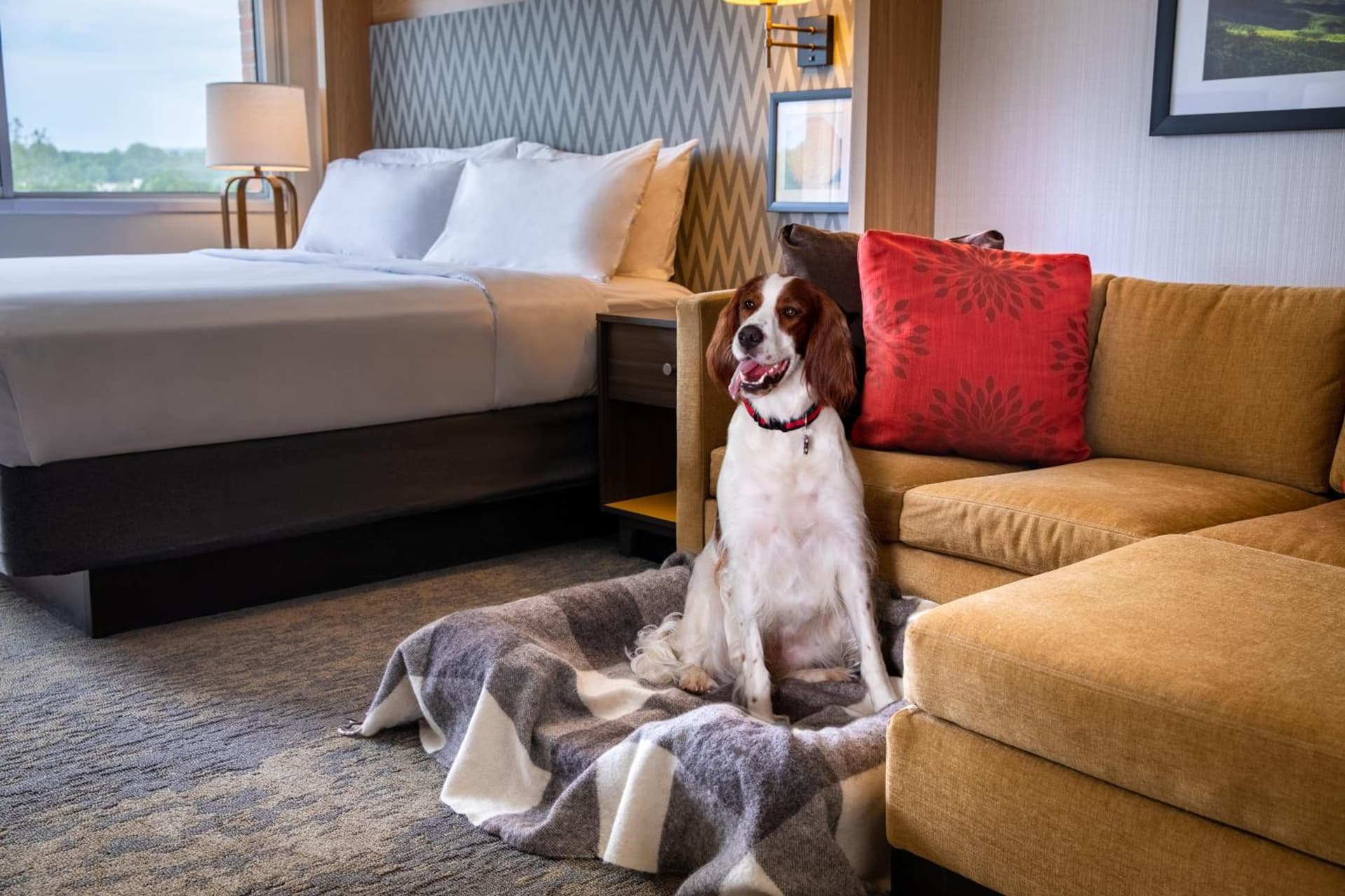 Holiday Inn Charlottesville-Monticello by IHG gallery photo in Charlottesville, VA — image 19