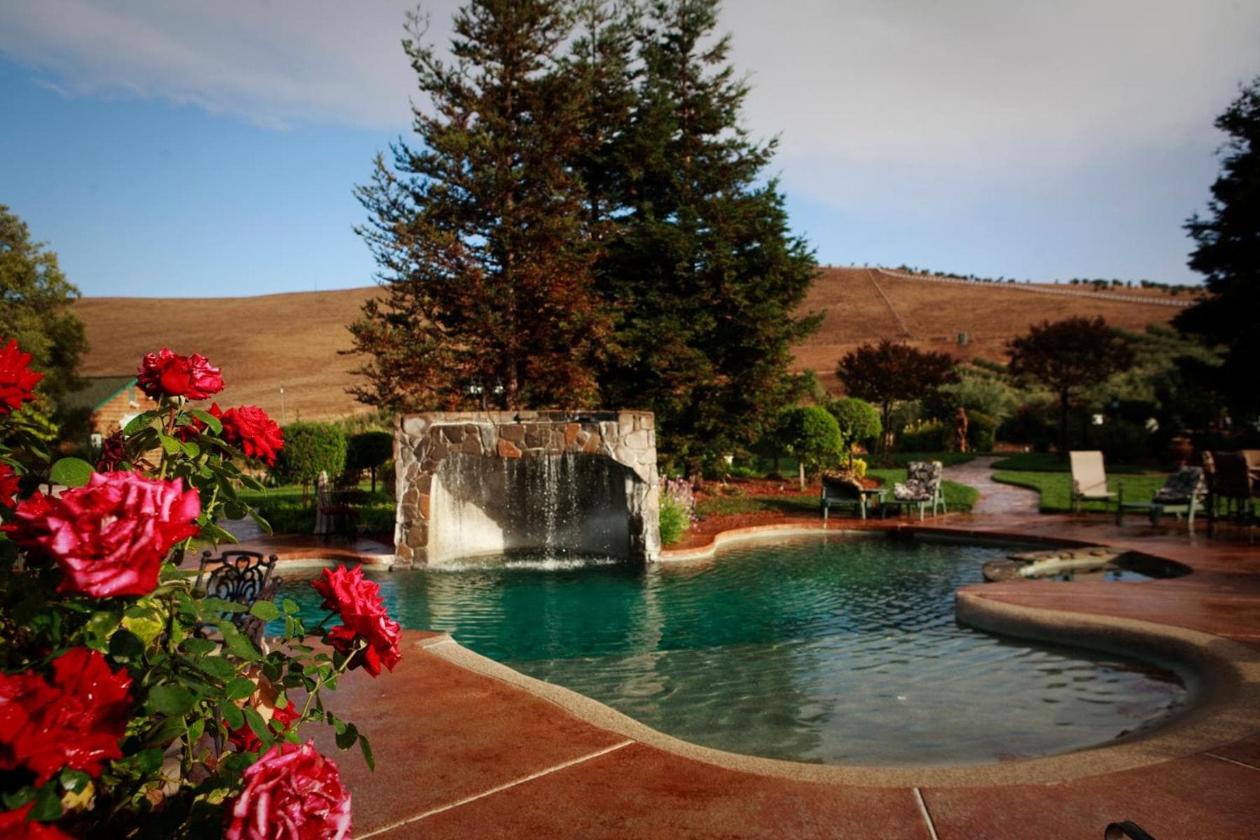 Purple Orchid Resort & Spa gallery photo in Livermore, CA — image 37