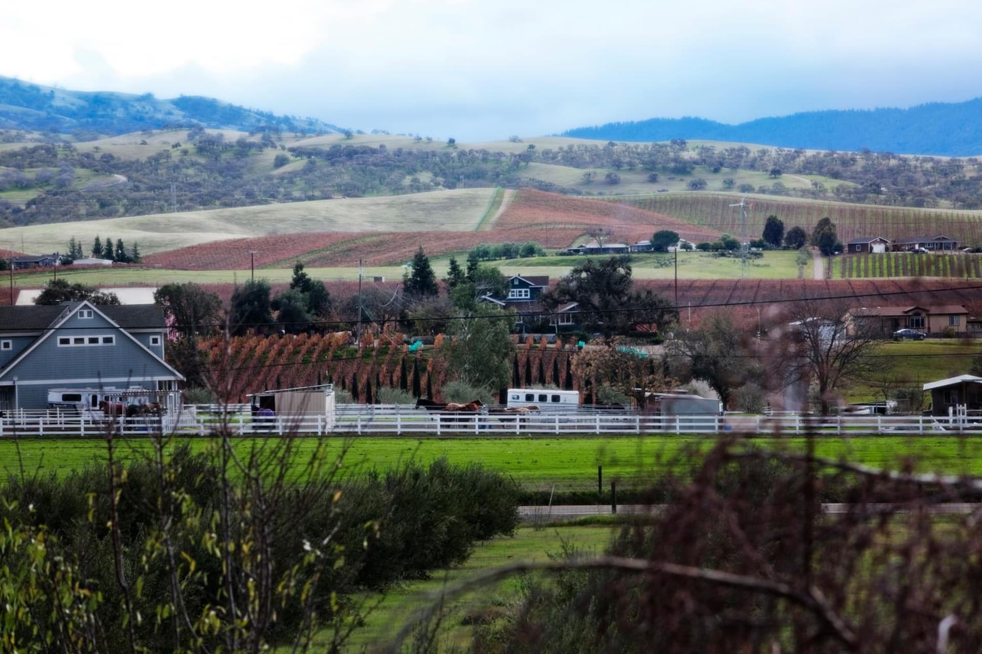 Purple Orchid Resort & Spa gallery photo in Livermore, CA — image 36