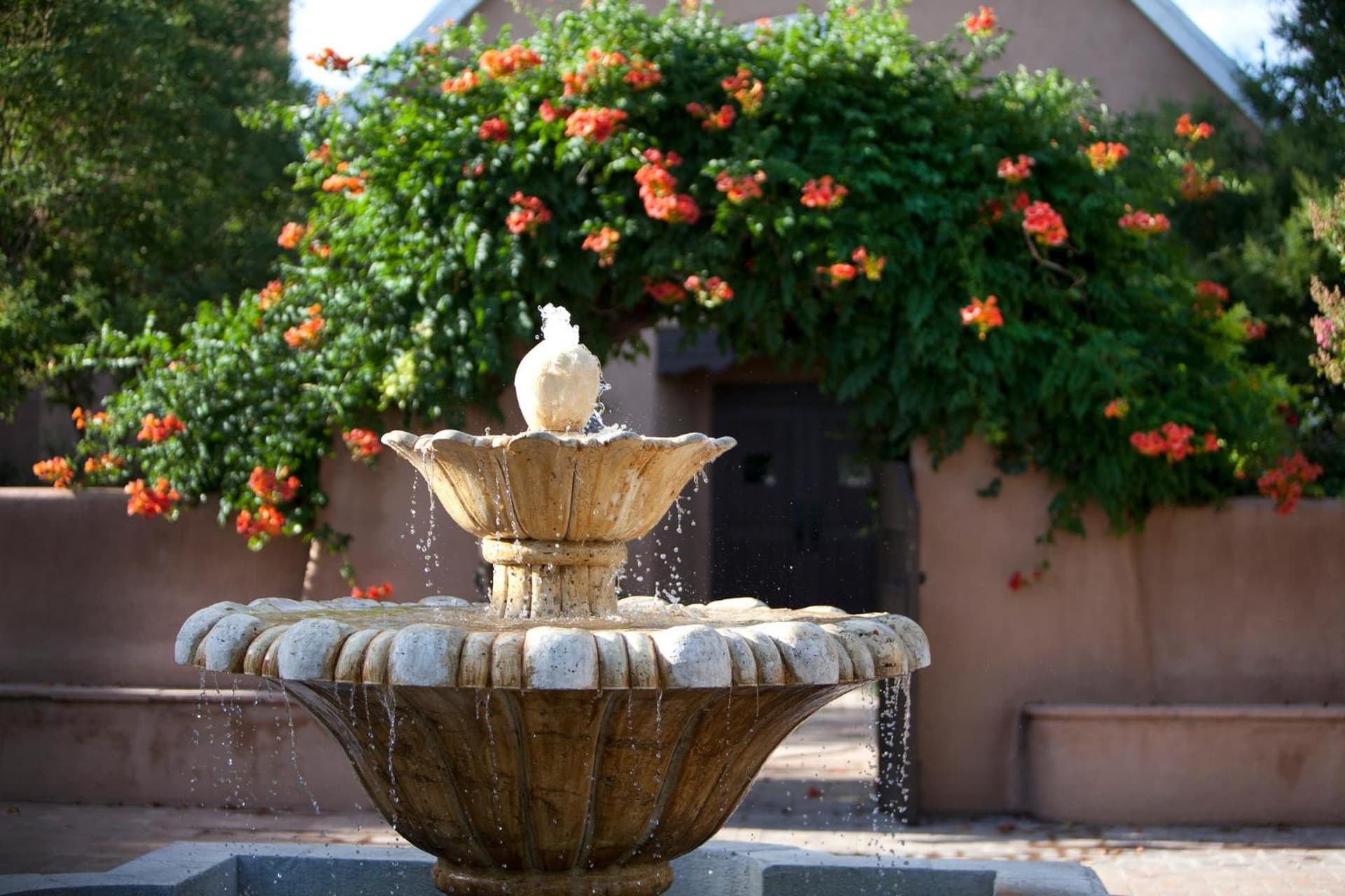 Hotel Albuquerque At Old Town gallery photo in Albuquerque, NM — image 31