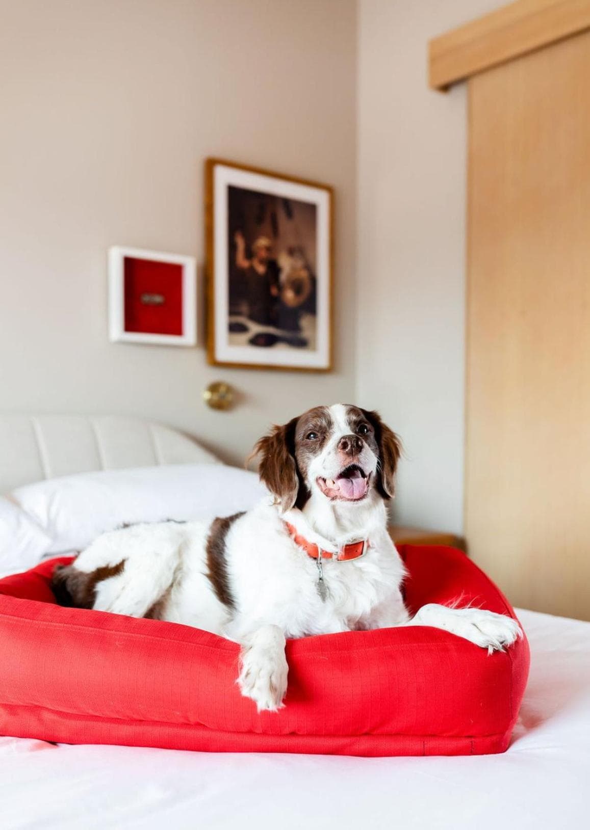 Virgin Hotels Dallas gallery photo in Dallas, TX — image 126