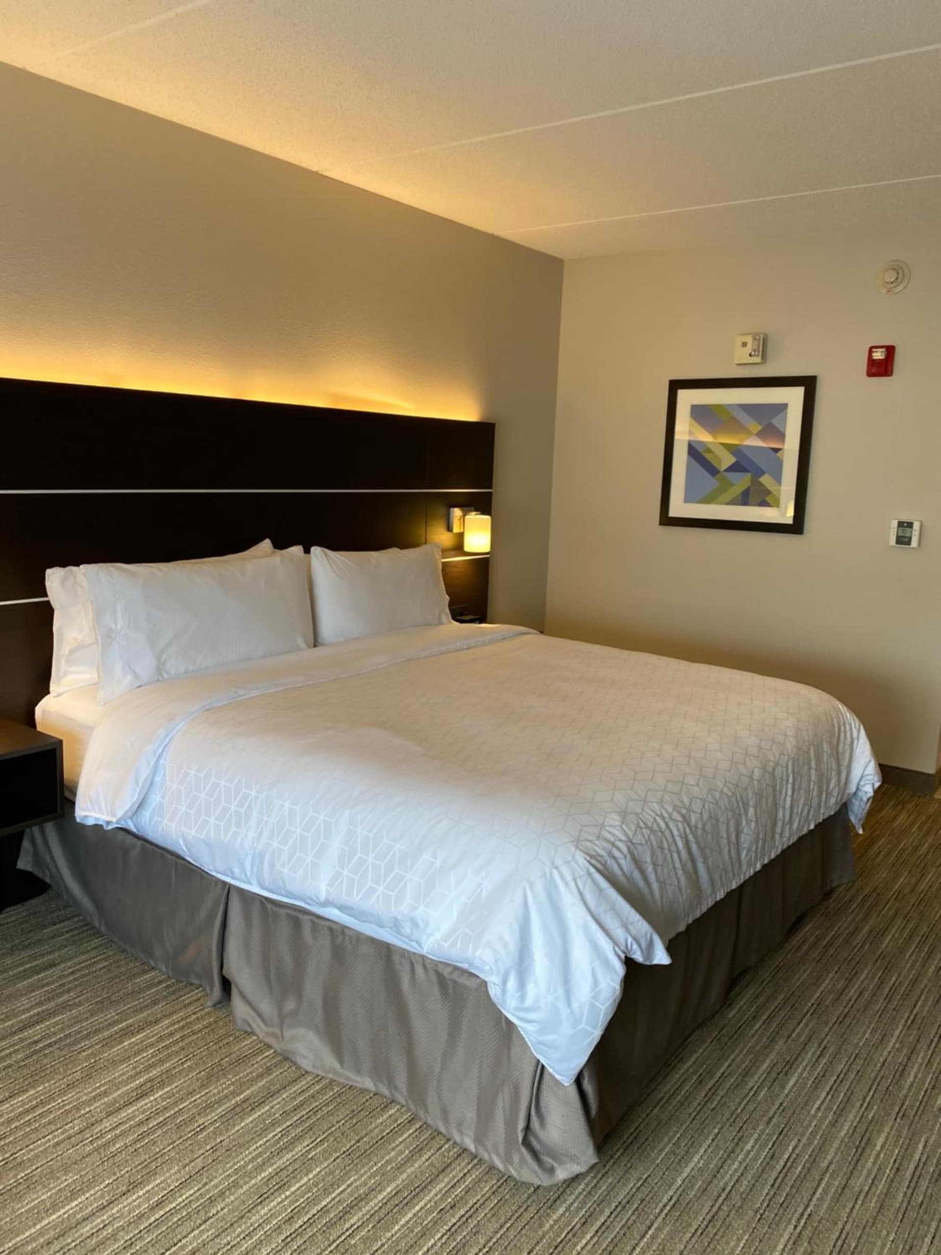 Holiday Inn Express & Suites - Prospect Heights by IHG gallery photo in Prospect Heights, IL — image 14