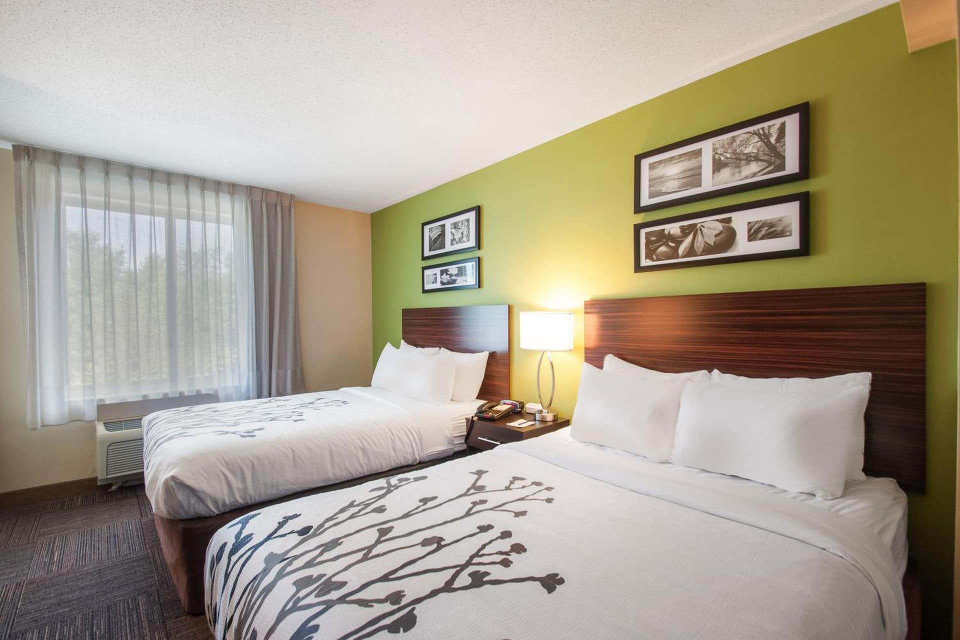 Sleep Inn & Suites Dover University Area gallery photo in Dover, DE — image 14