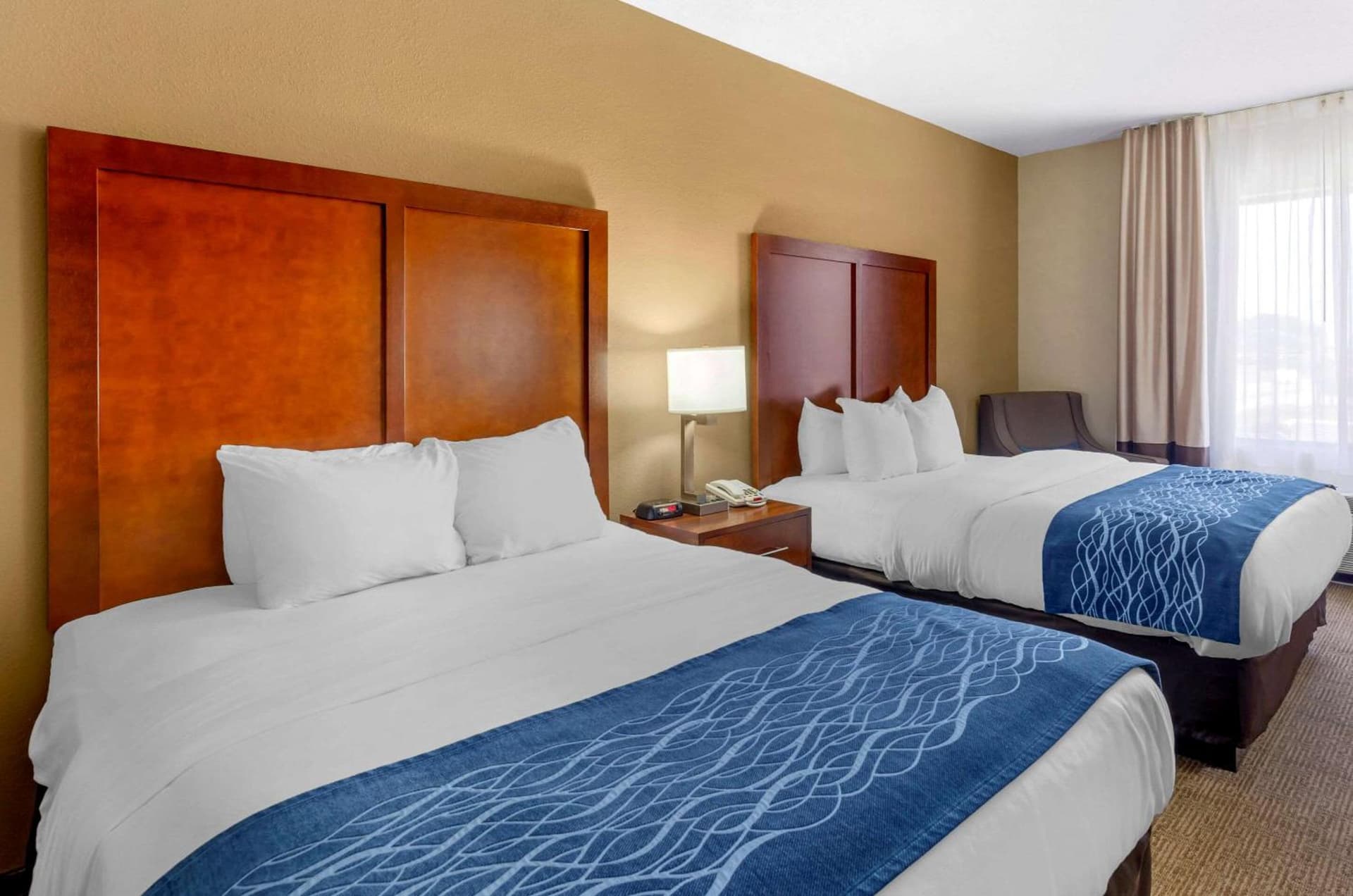 Comfort Inn & Suites Lynchburg Airport - University Area gallery photo in Lynchburg, VA — image 20