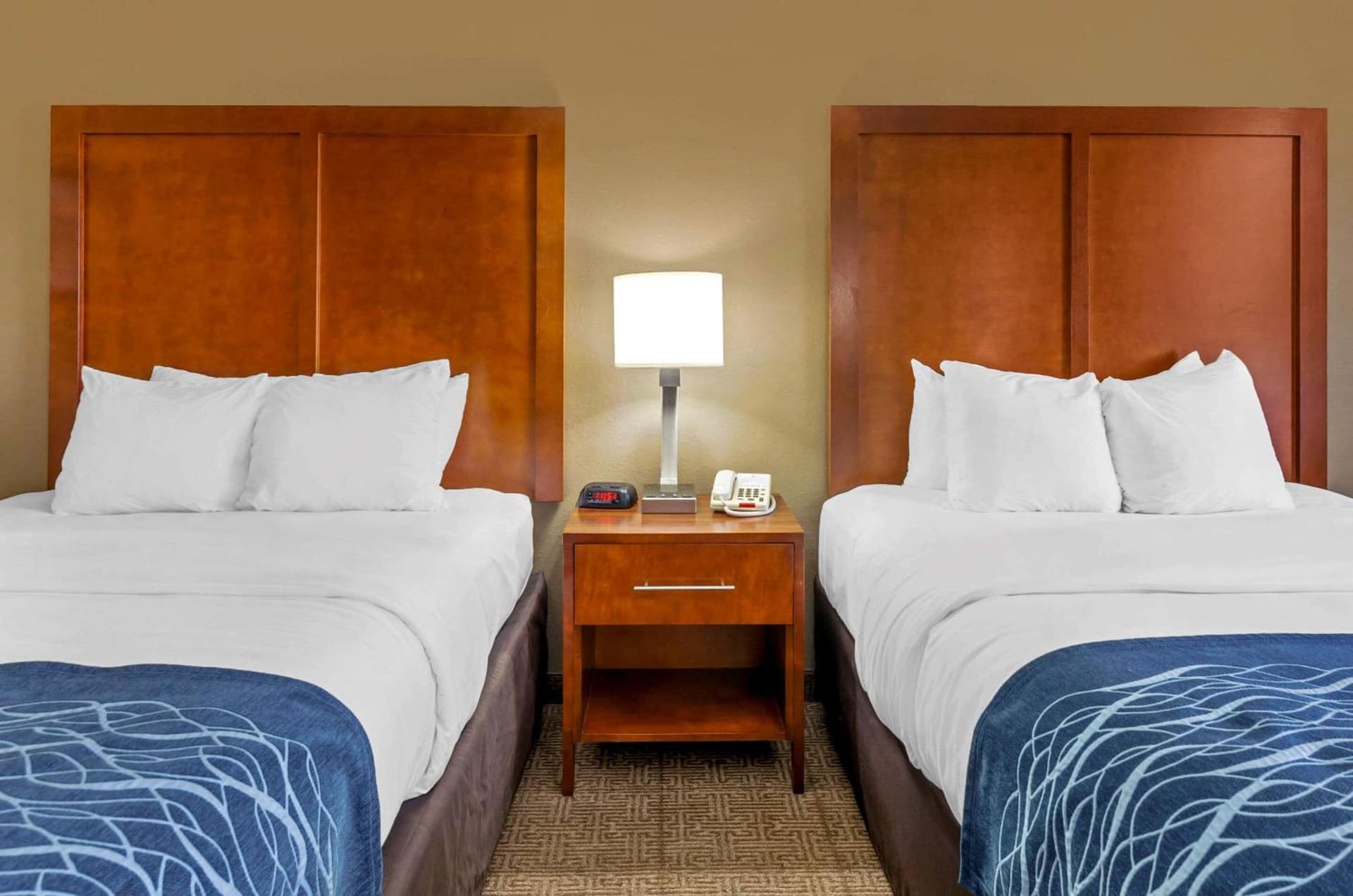Comfort Inn & Suites Lynchburg Airport - University Area gallery photo in Lynchburg, VA — image 37