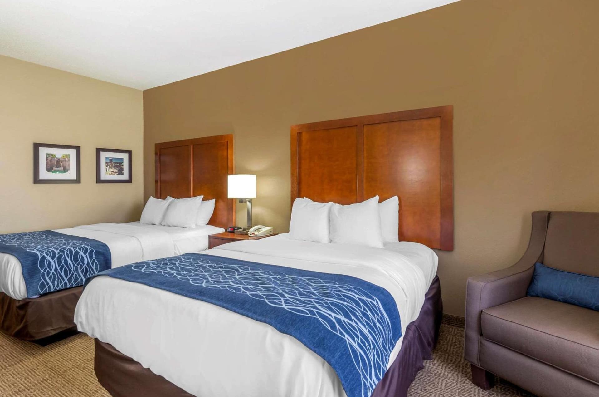 Comfort Inn & Suites Lynchburg Airport - University Area gallery photo in Lynchburg, VA — image 33