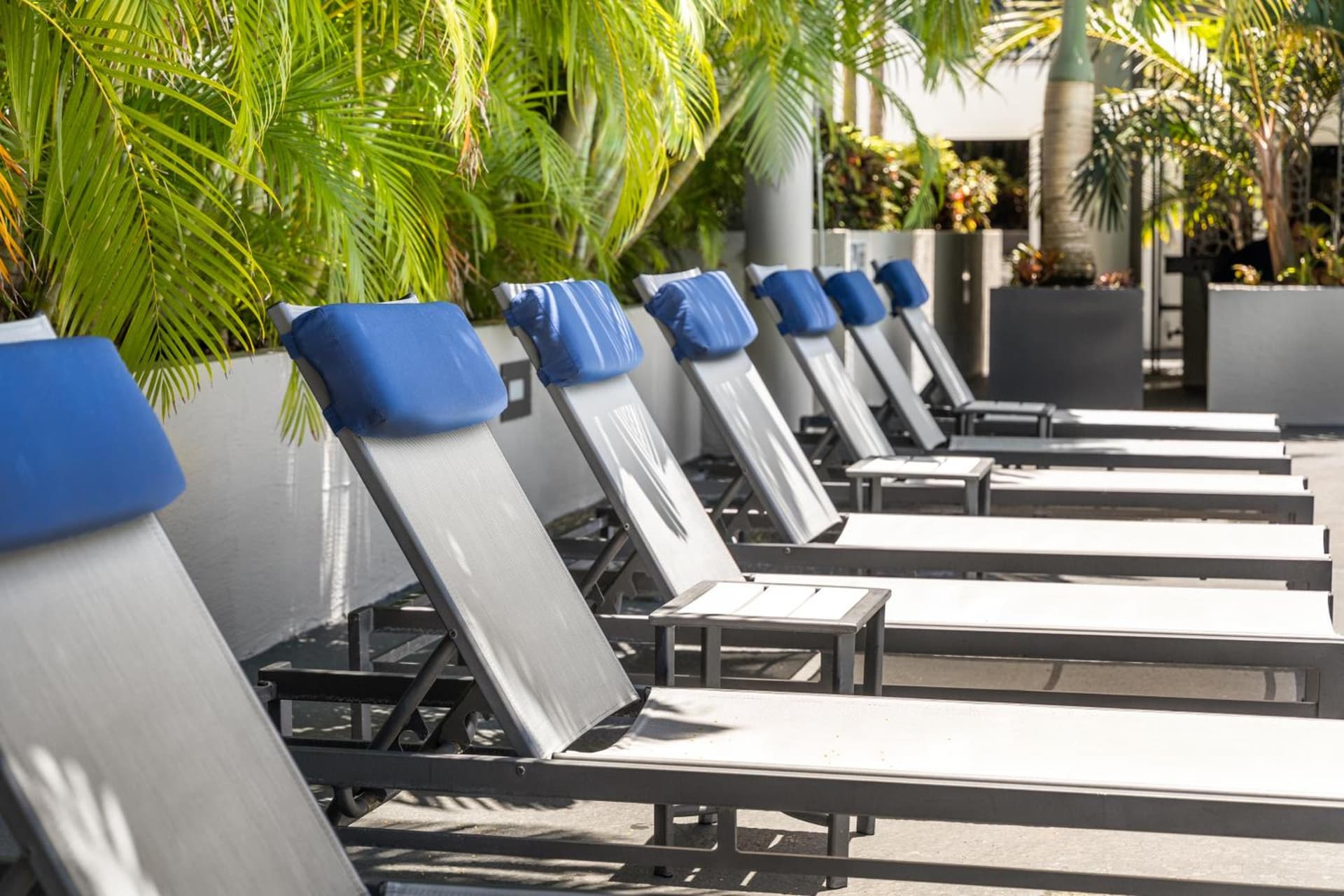 Fortune House Hotel Suites gallery photo in Miami, FL — image 7