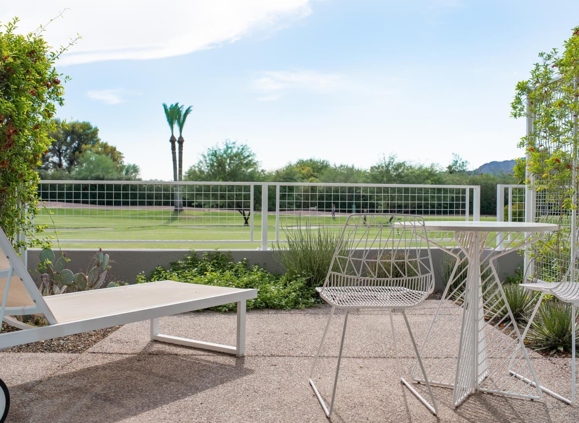 Mountain Shadows Resort Scottsdale gallery photo in Scottsdale, AZ — image 55
