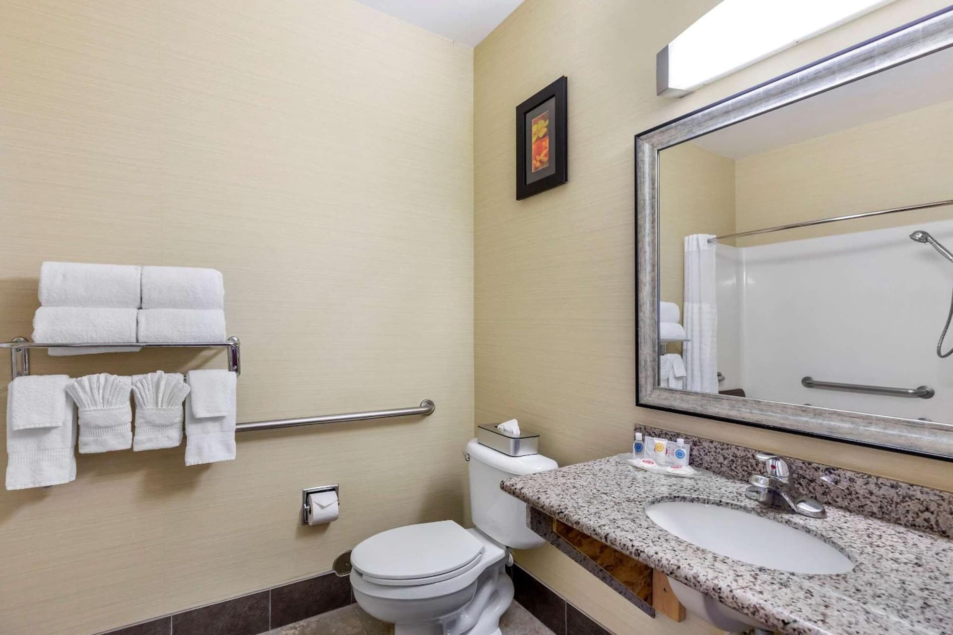 Comfort Suites Denver Tech Center gallery photo in Centennial, CO — image 48