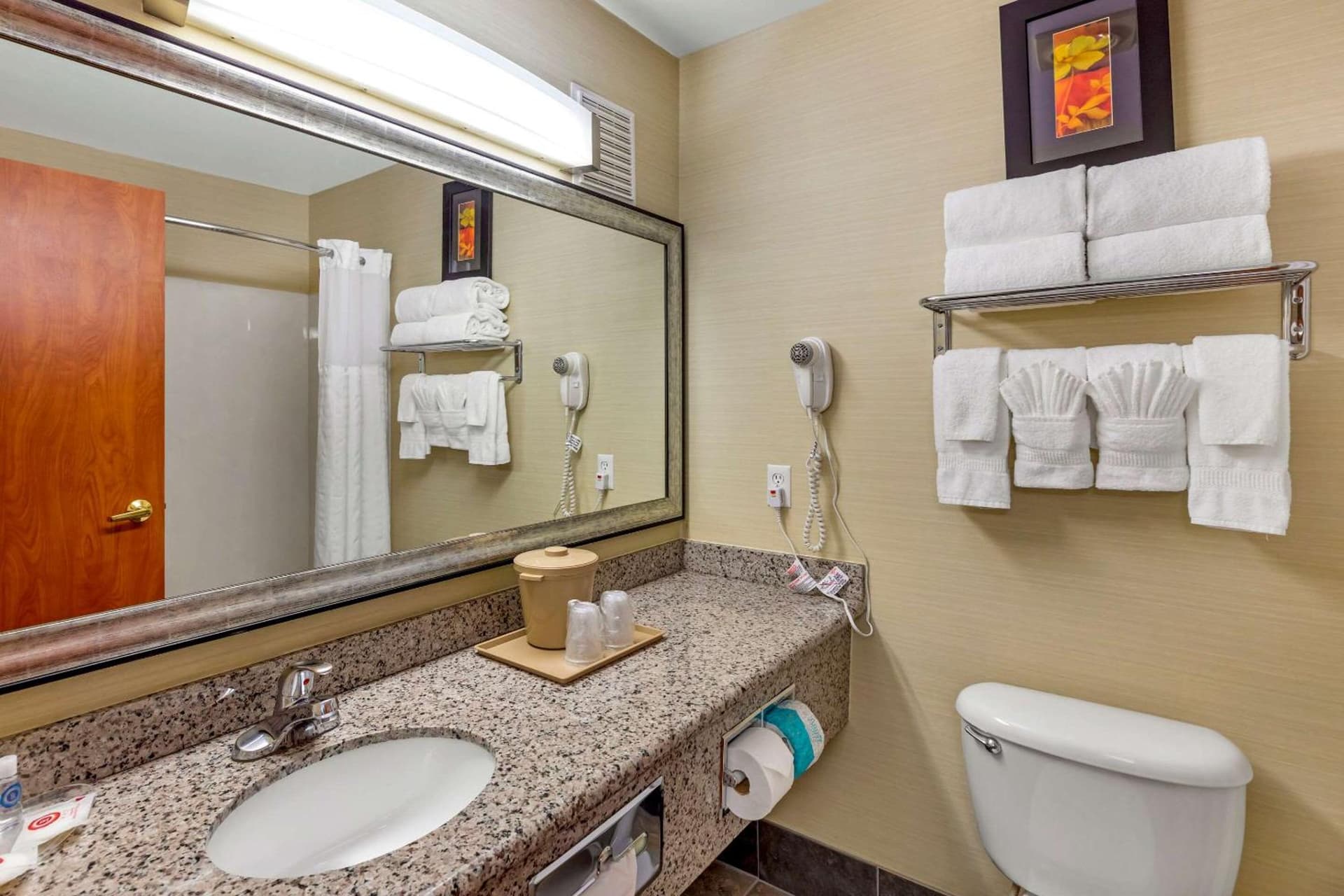 Comfort Suites Denver Tech Center gallery photo in Centennial, CO — image 55