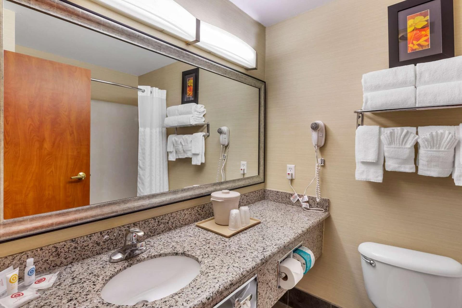 Comfort Suites Denver Tech Center gallery photo in Centennial, CO — image 46