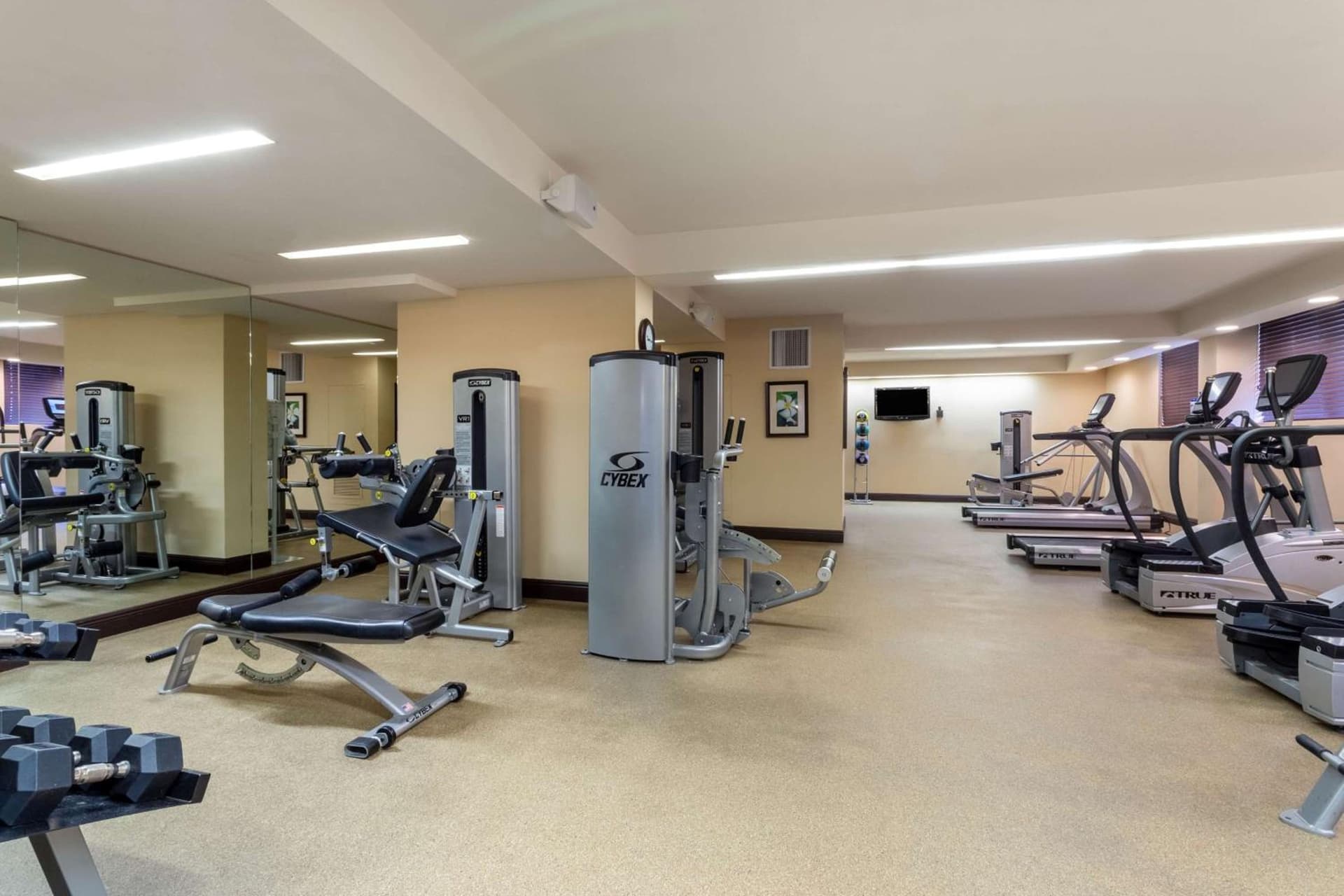 Wyndham Deerfield Beach Resort gallery photo in Deerfield Beach, FL — image 34