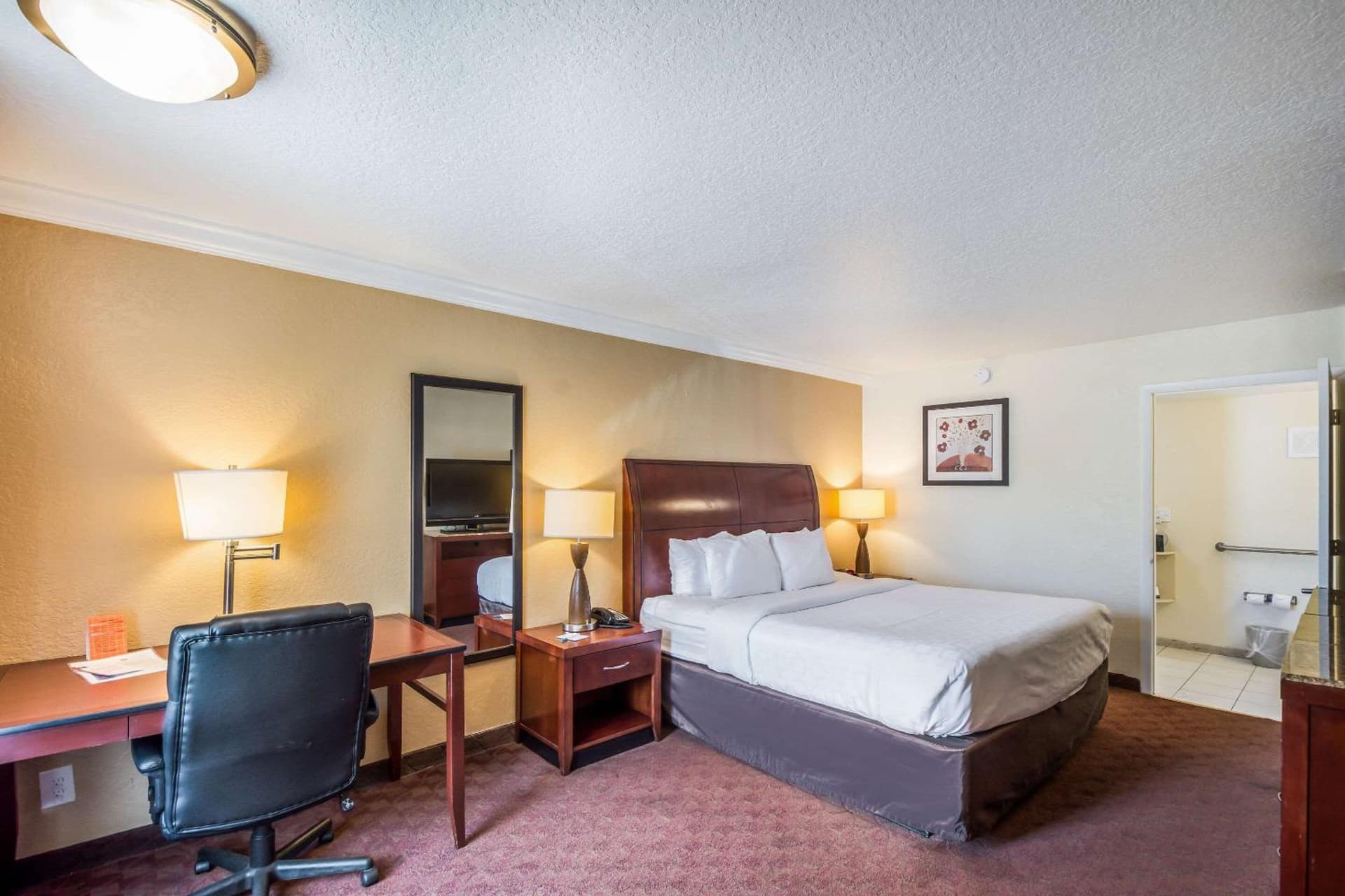 Clarion Inn & Suites Central Clearwater Beach gallery photo in Clearwater, FL — image 39